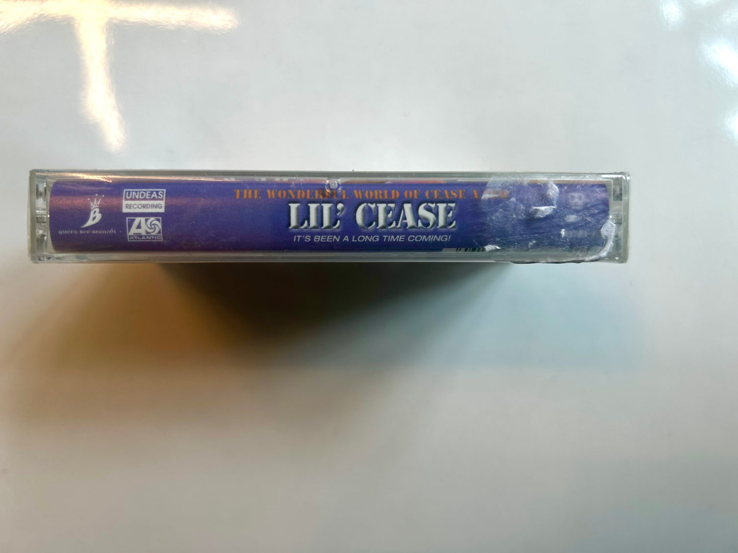 Lil' Cease, The Wonderful World of Cease. A Leo
