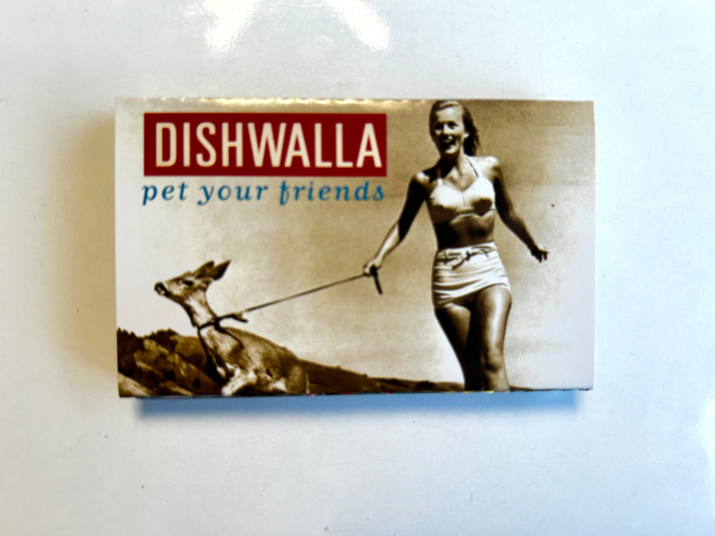 Dishwalla, Pet Your Friends