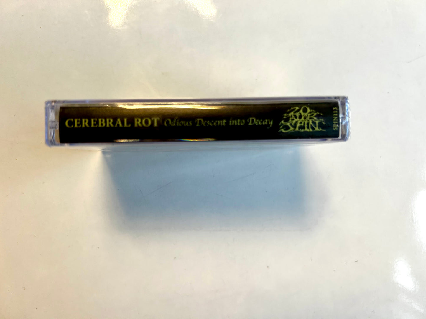 Cerebral Rot, Odious Descent Into Decay