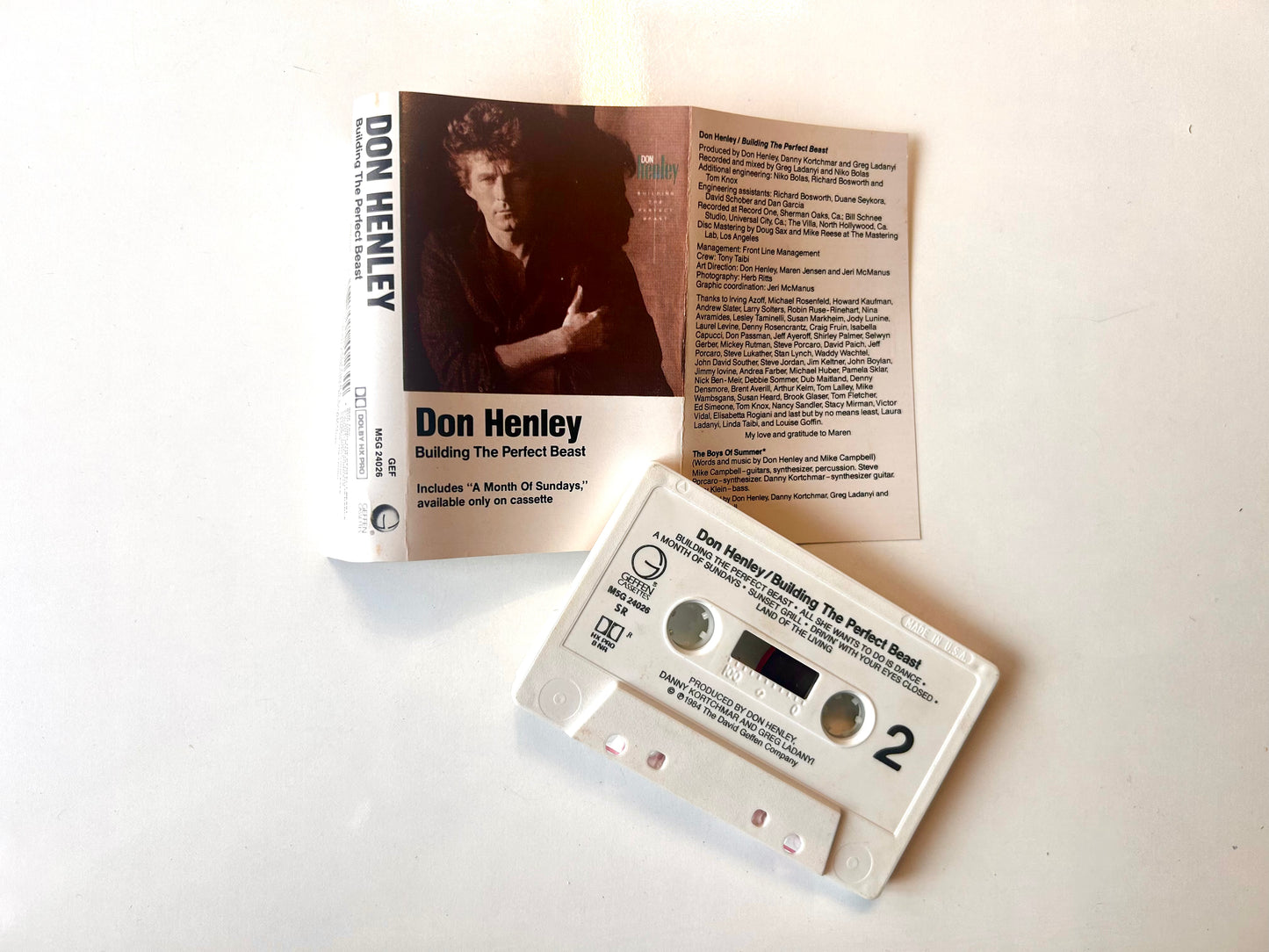 Don Henley, Building the Perfect Beast