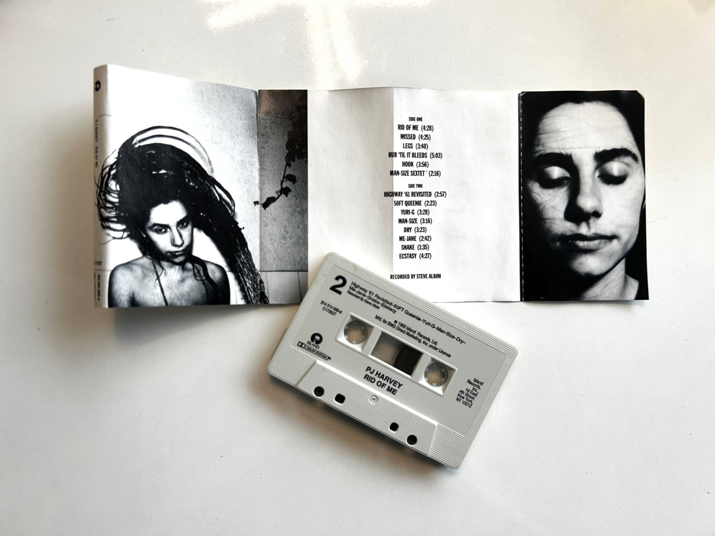 PJ Harvey, Rid of Me