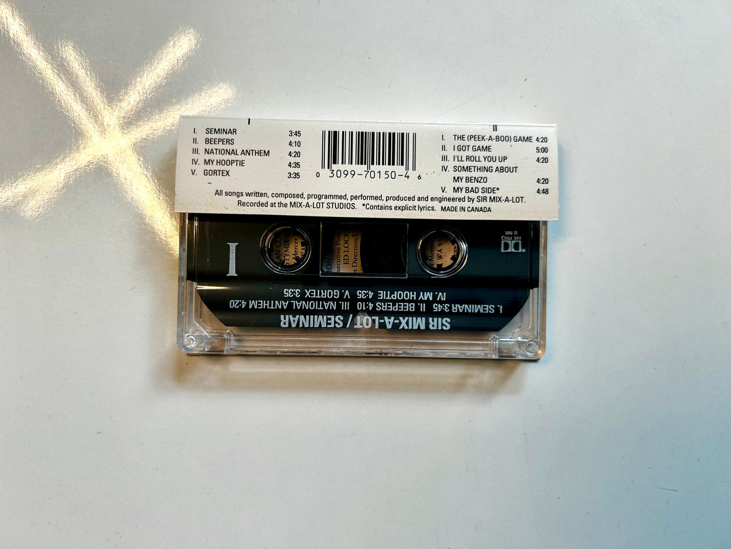 Sir Mix-A-Lot, Seminar