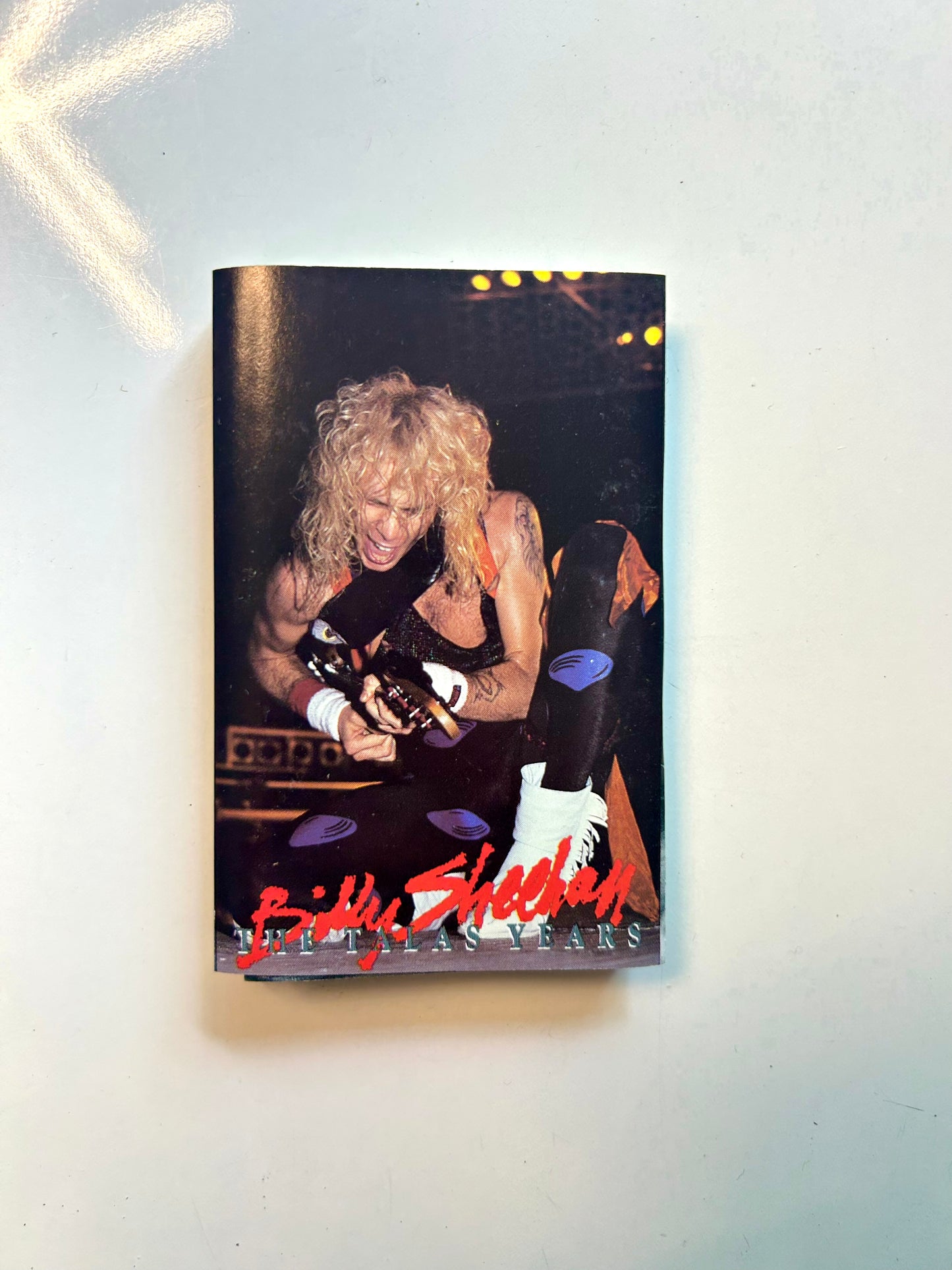 Billy Sheehan, The Talas Years