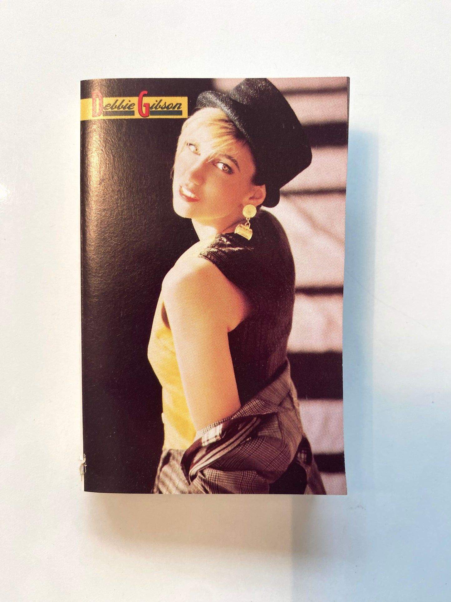 Debbie Gibson, Anything is Possible