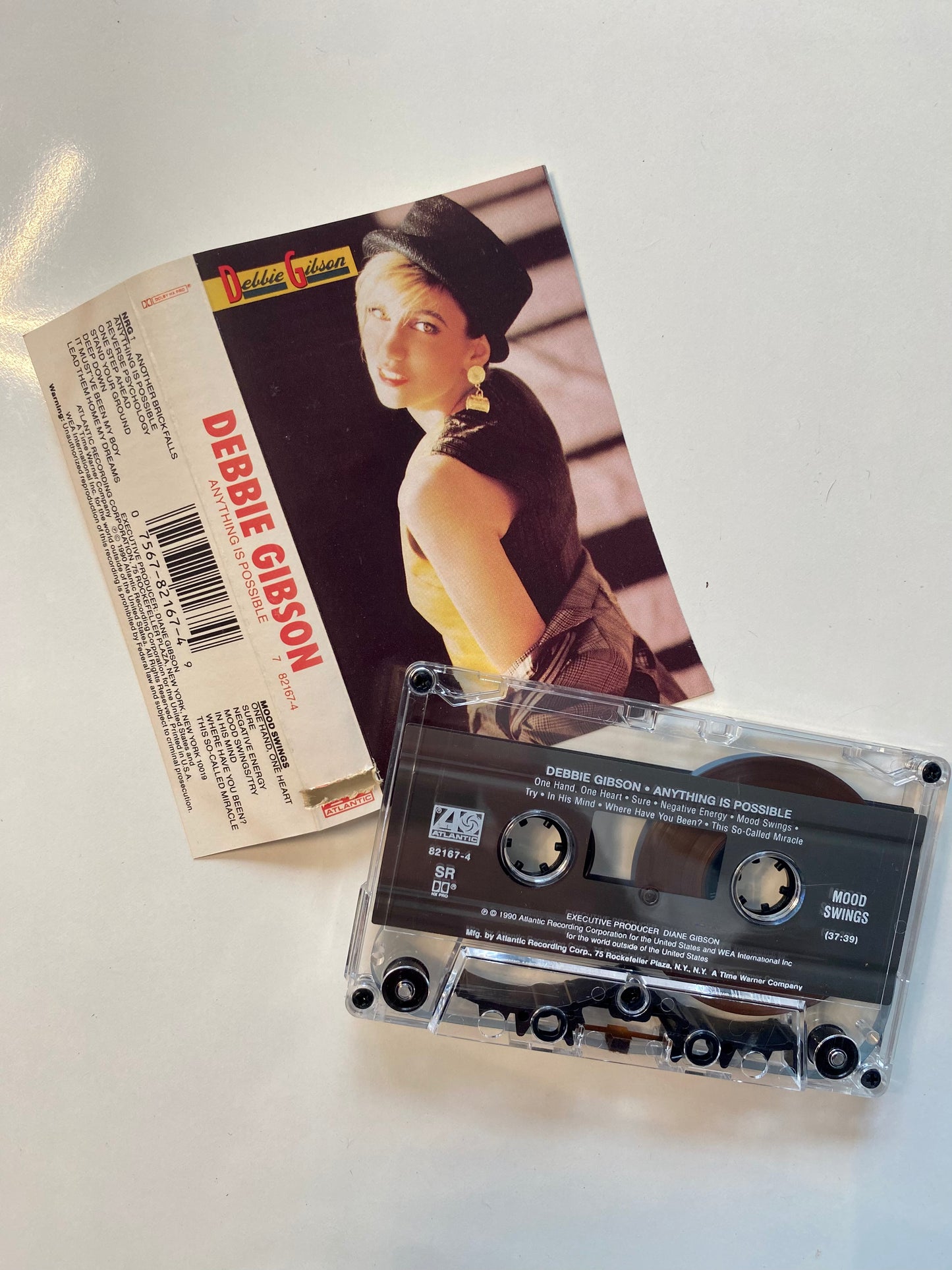 Debbie Gibson, Anything is Possible