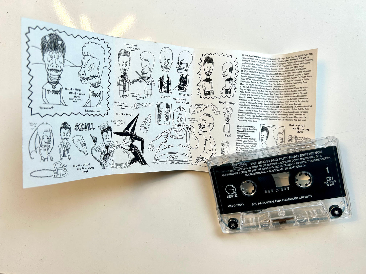 The Beavis and Butthead Experience