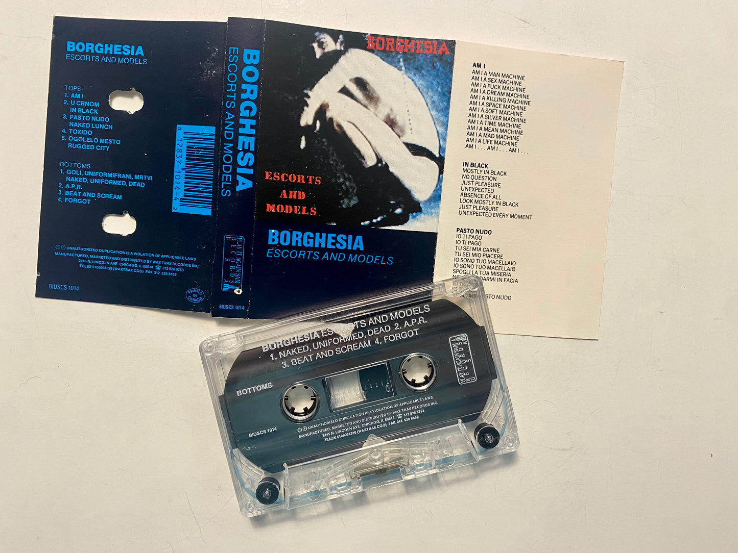 Borghesia, Escorts and Models