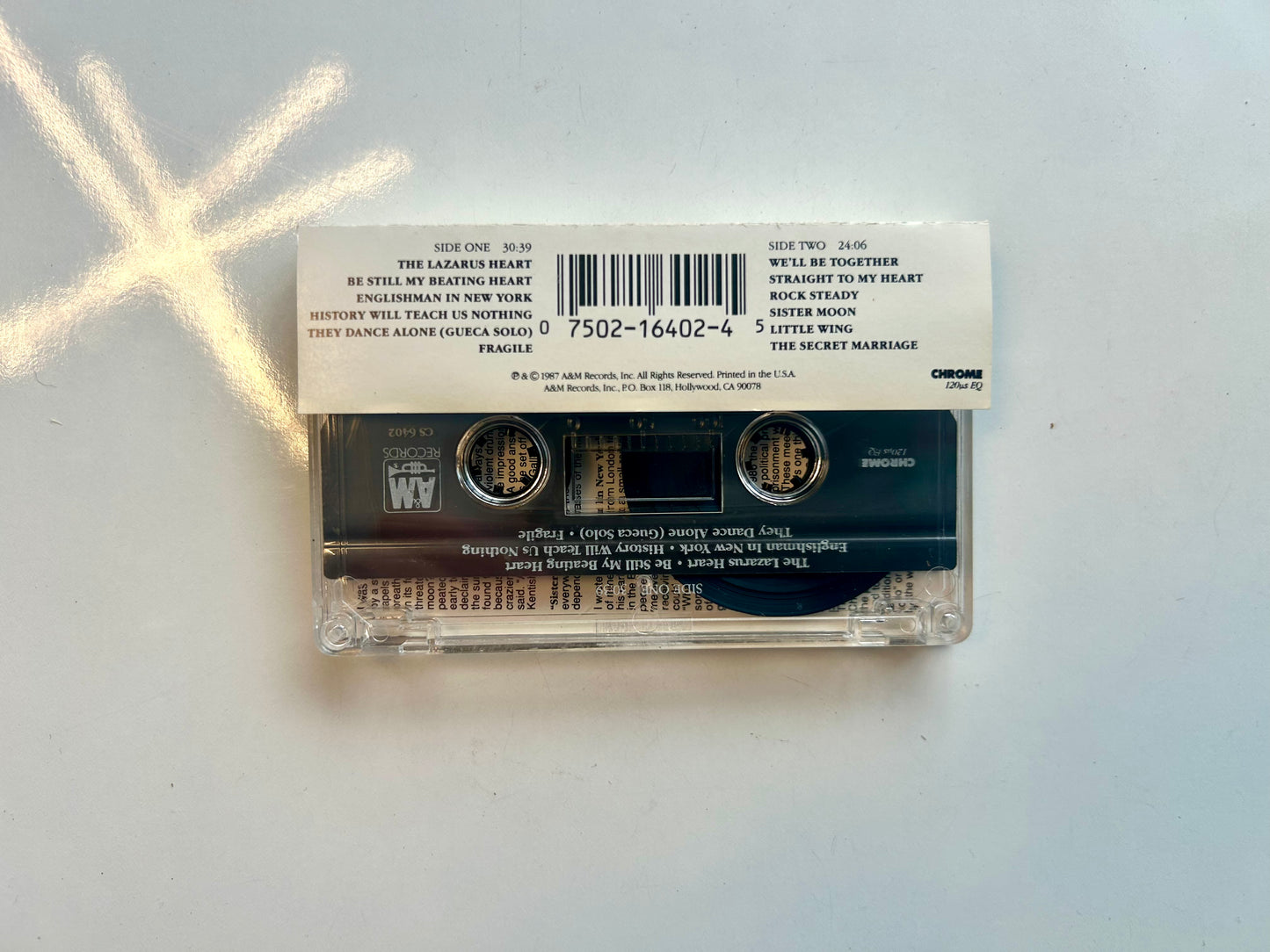 Sting, Nothing Like the Sun