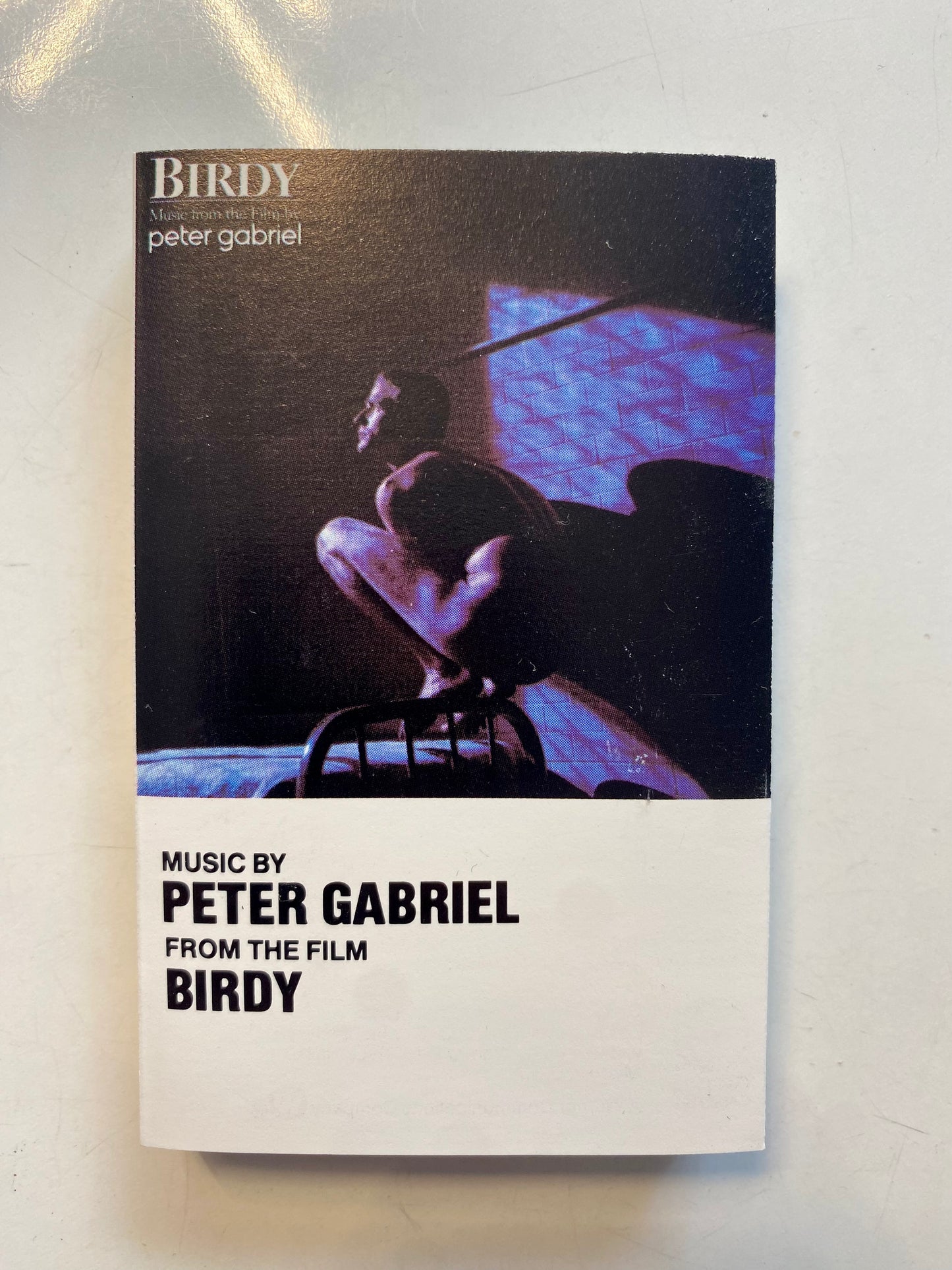 Peter Gabriel, Music from the film Birdy