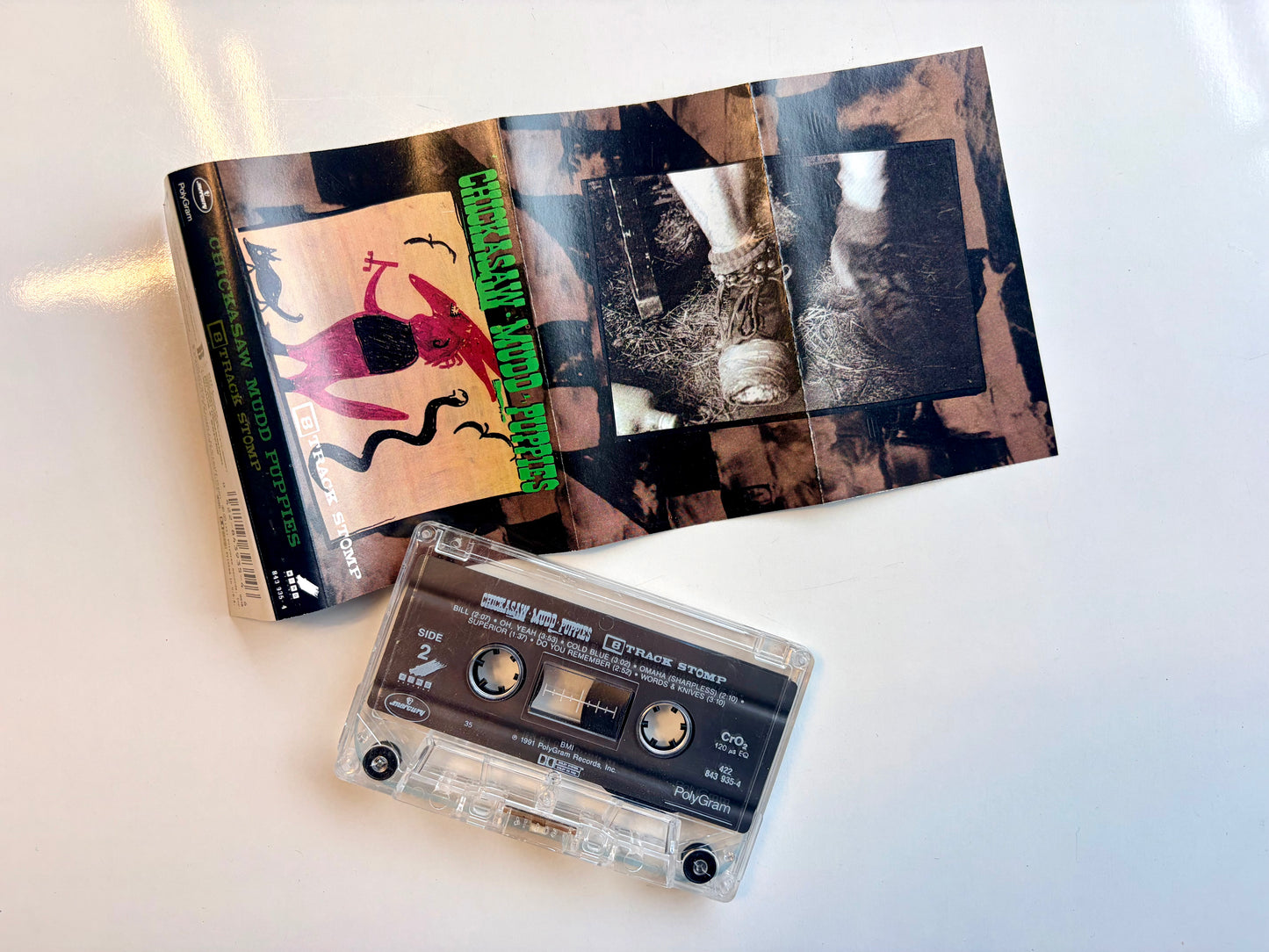 Chickasaw Mudd Puppies, 8 Track Stomp