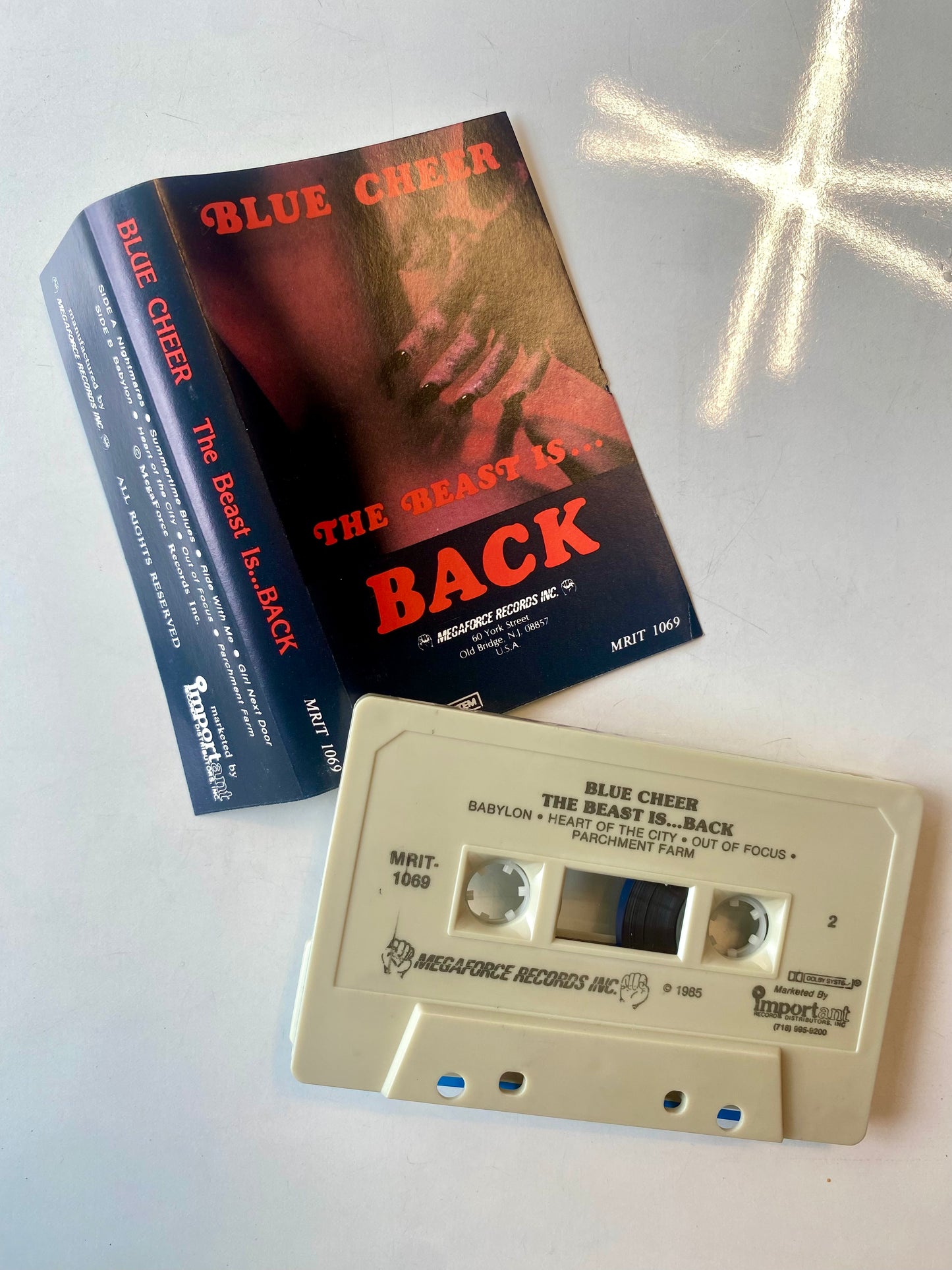 Blue Cheer, The Beast is Back