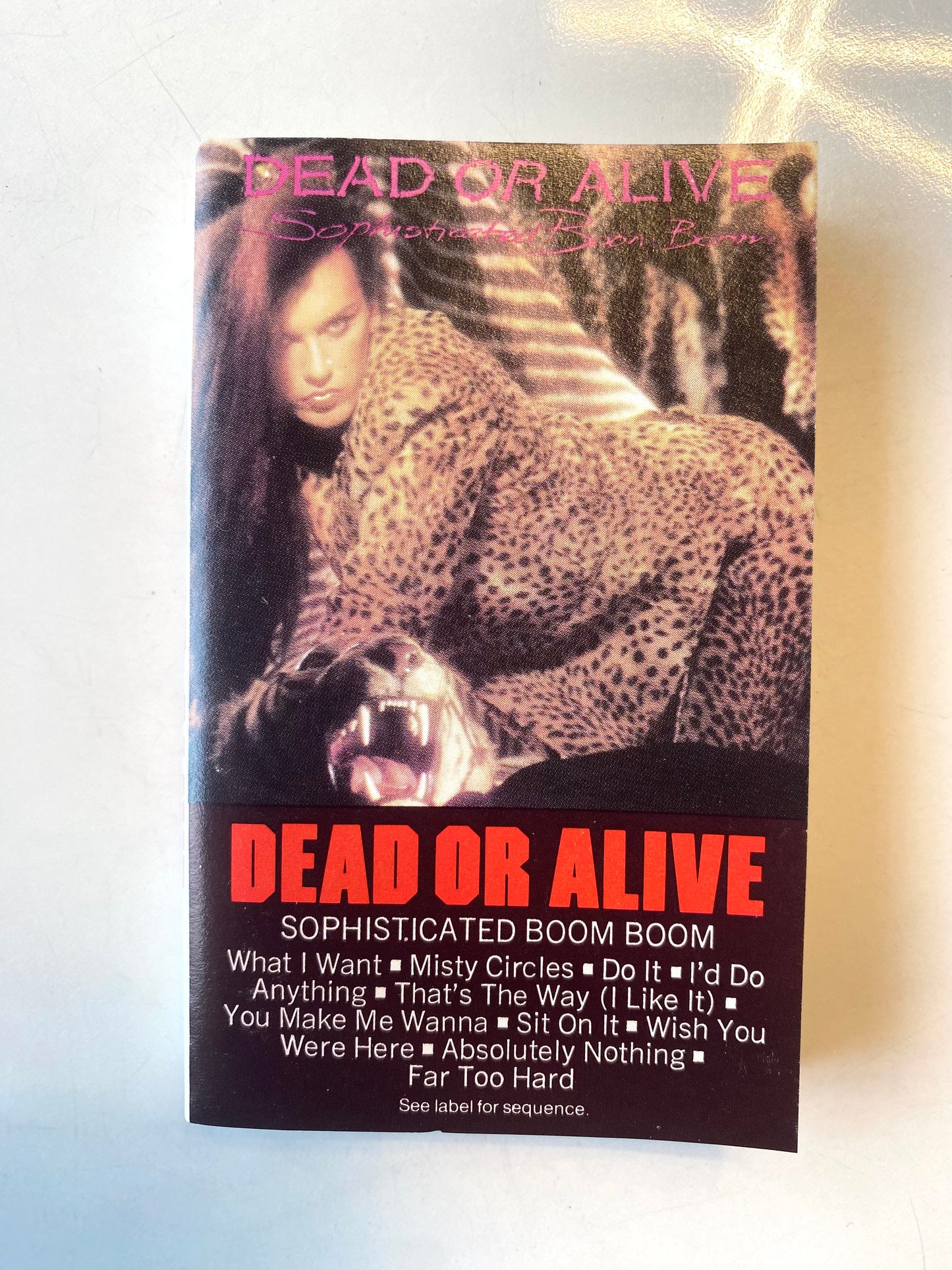 Dead Or Alive, Sophisticated Boom Boom