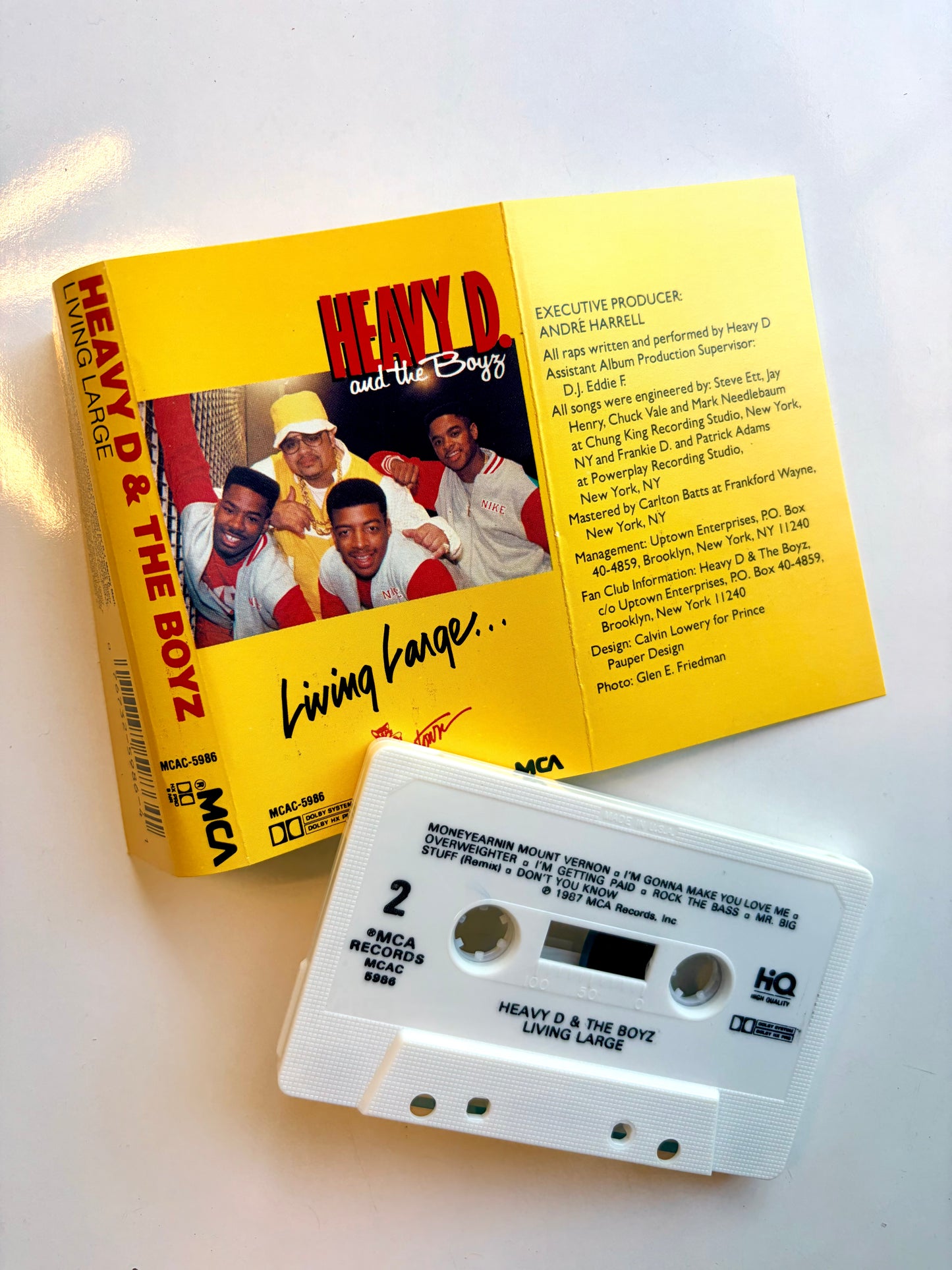 Heavy D & The Boyz, Living Large