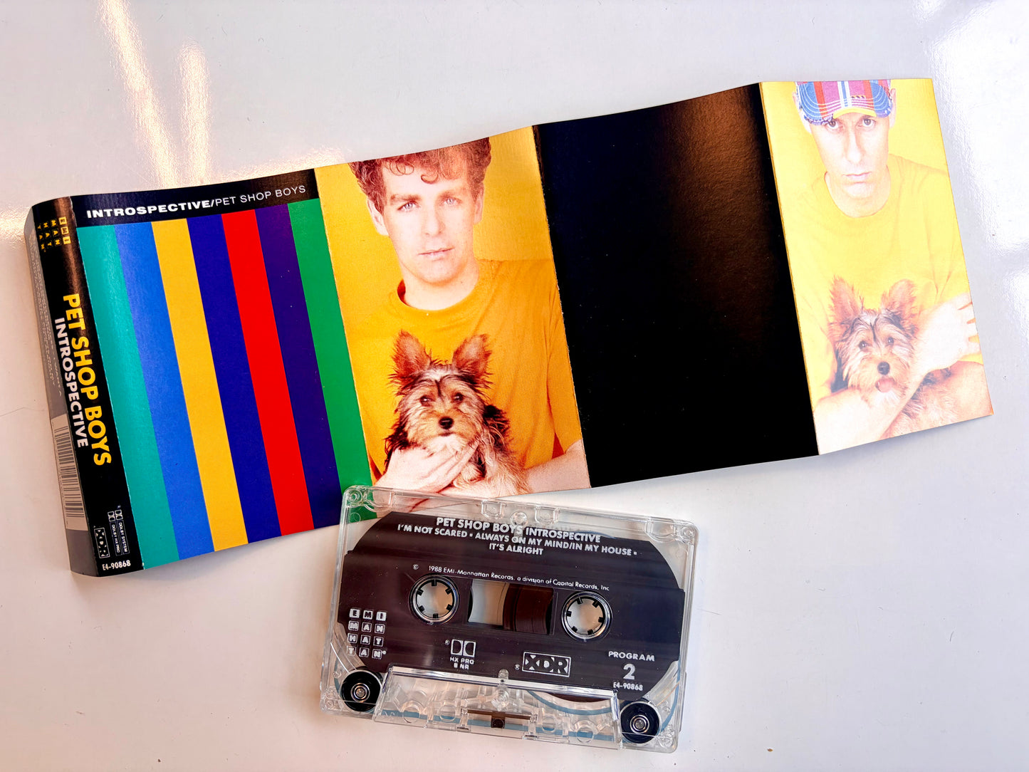 Pet Shop Boys, Introspective