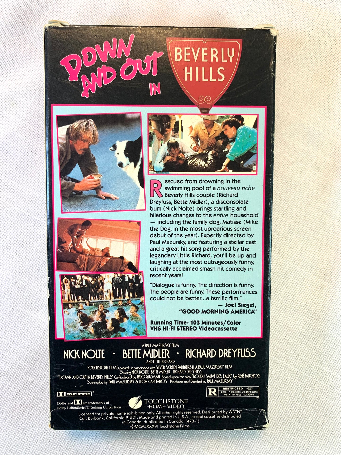 Down And Out in Beverly Hills