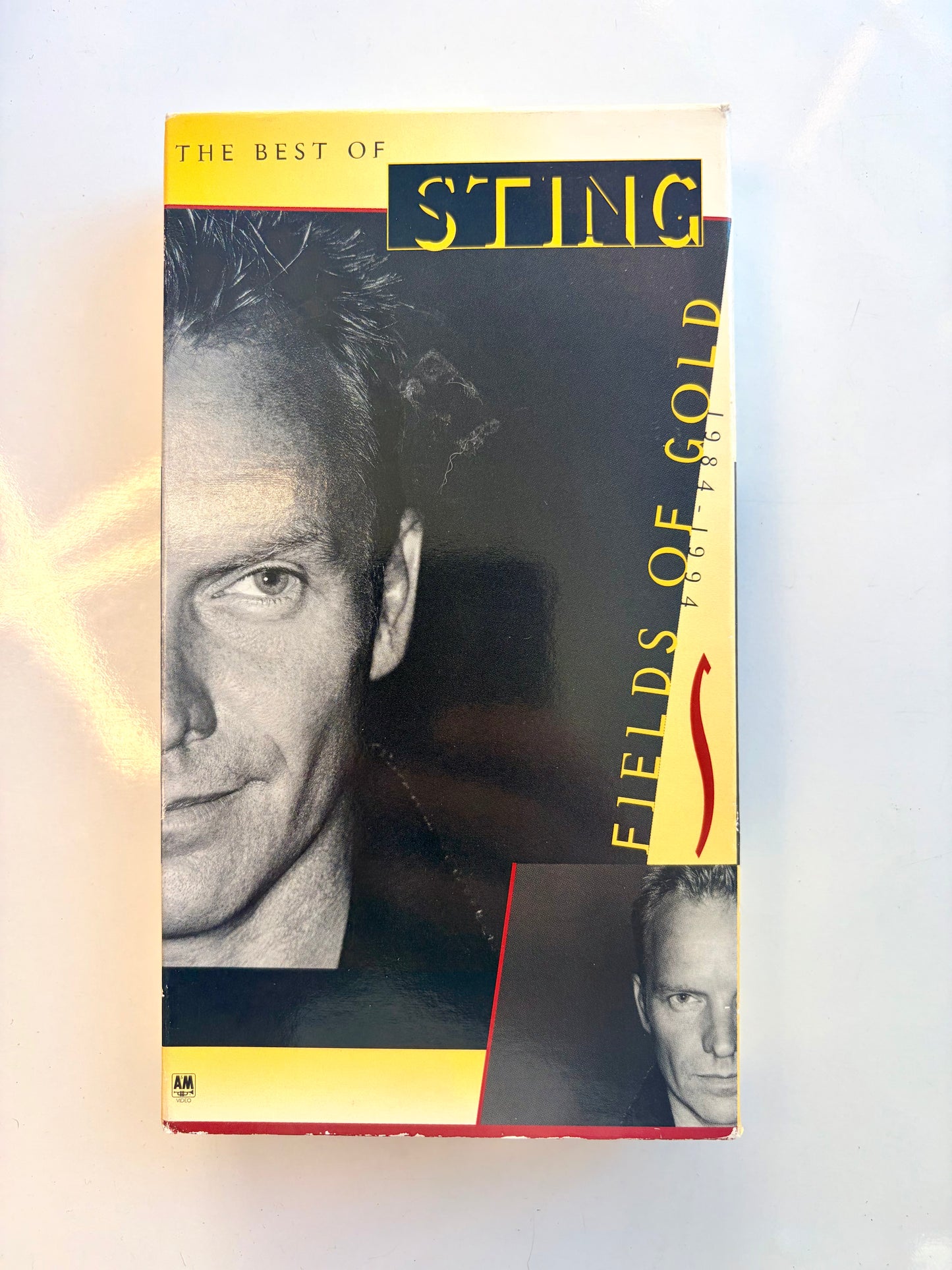 Sting, Fields Of Gold VHS video