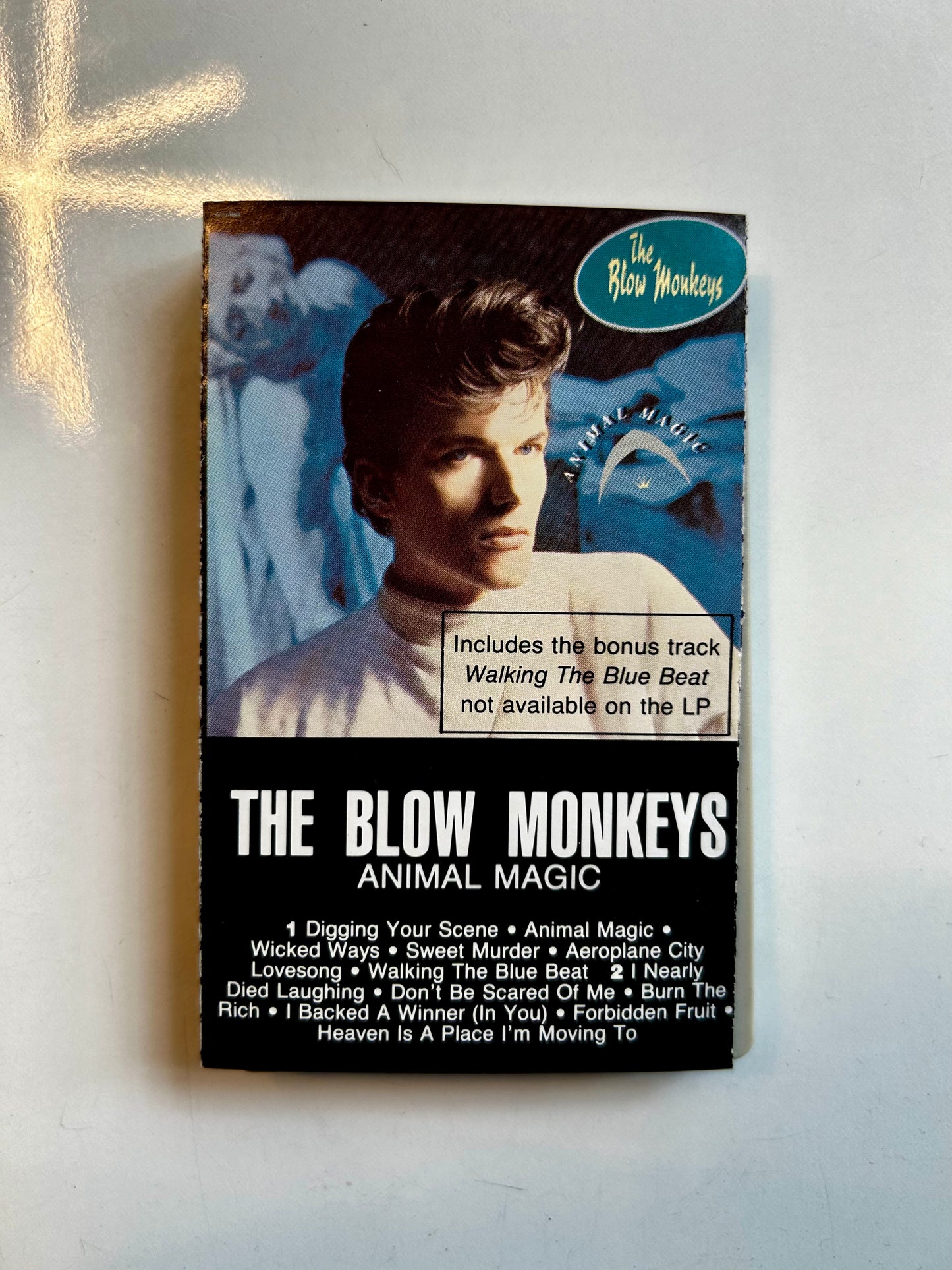 The Blow Monkeys, Animal Magic