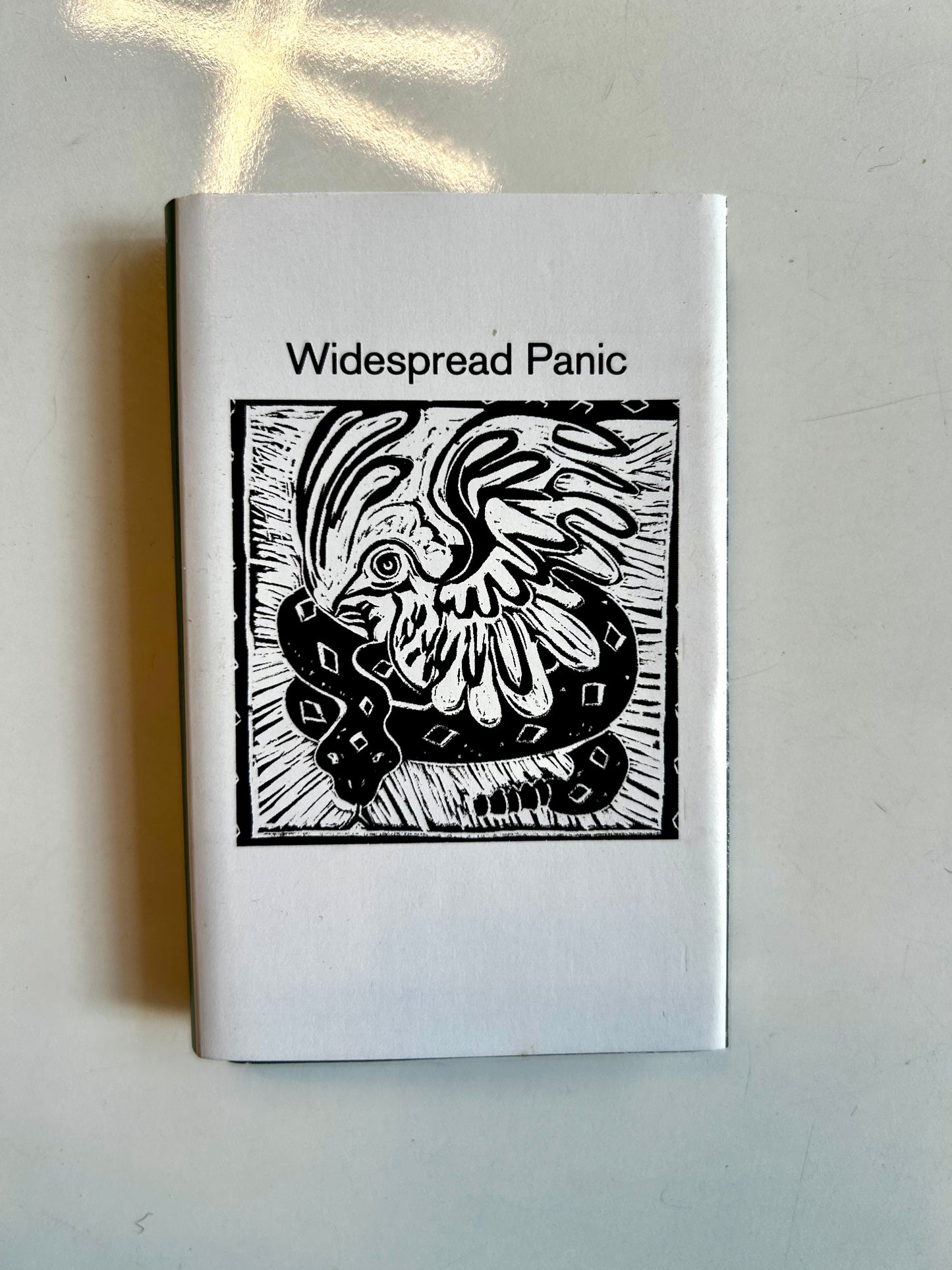 Widespread Panic