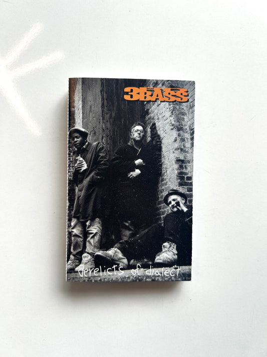 3RD BASS, Derelicts of Dialect