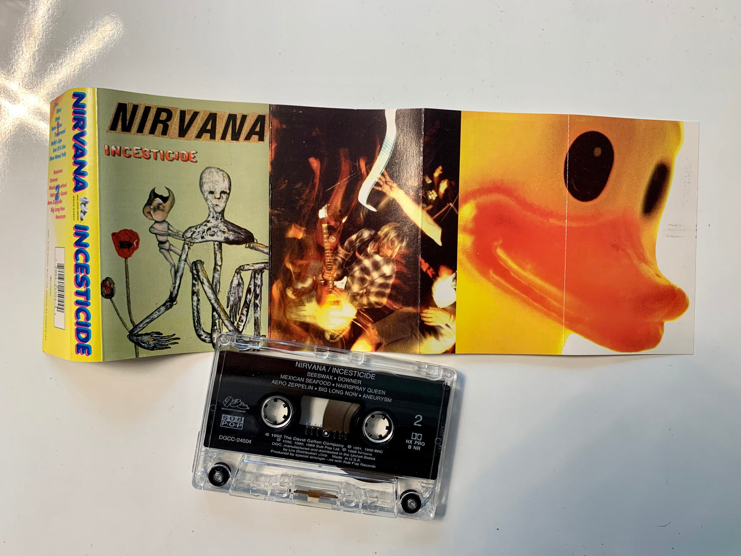 Nirvana, Incesticide