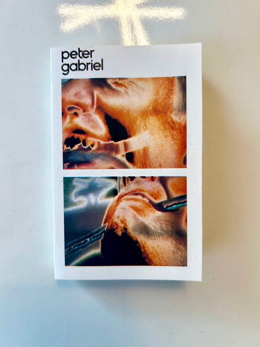 Peter Gabriel, Security
