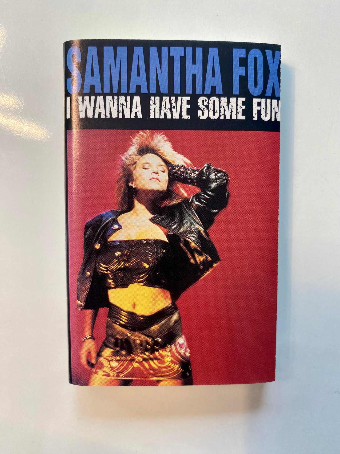 Samantha Fox, I Wanna Have Some Fun