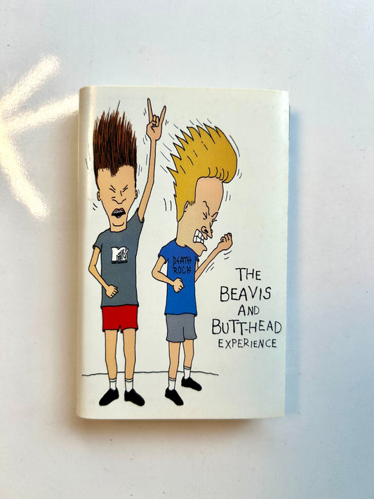 The Beavis and Butthead Experience