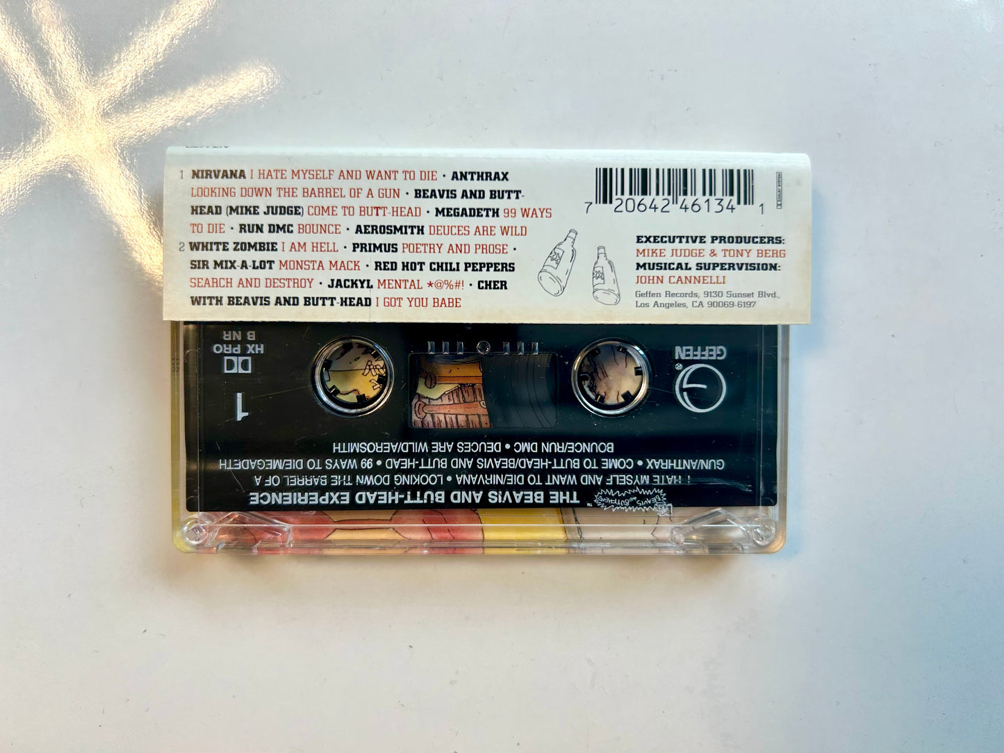 The Beavis and Butthead Experience