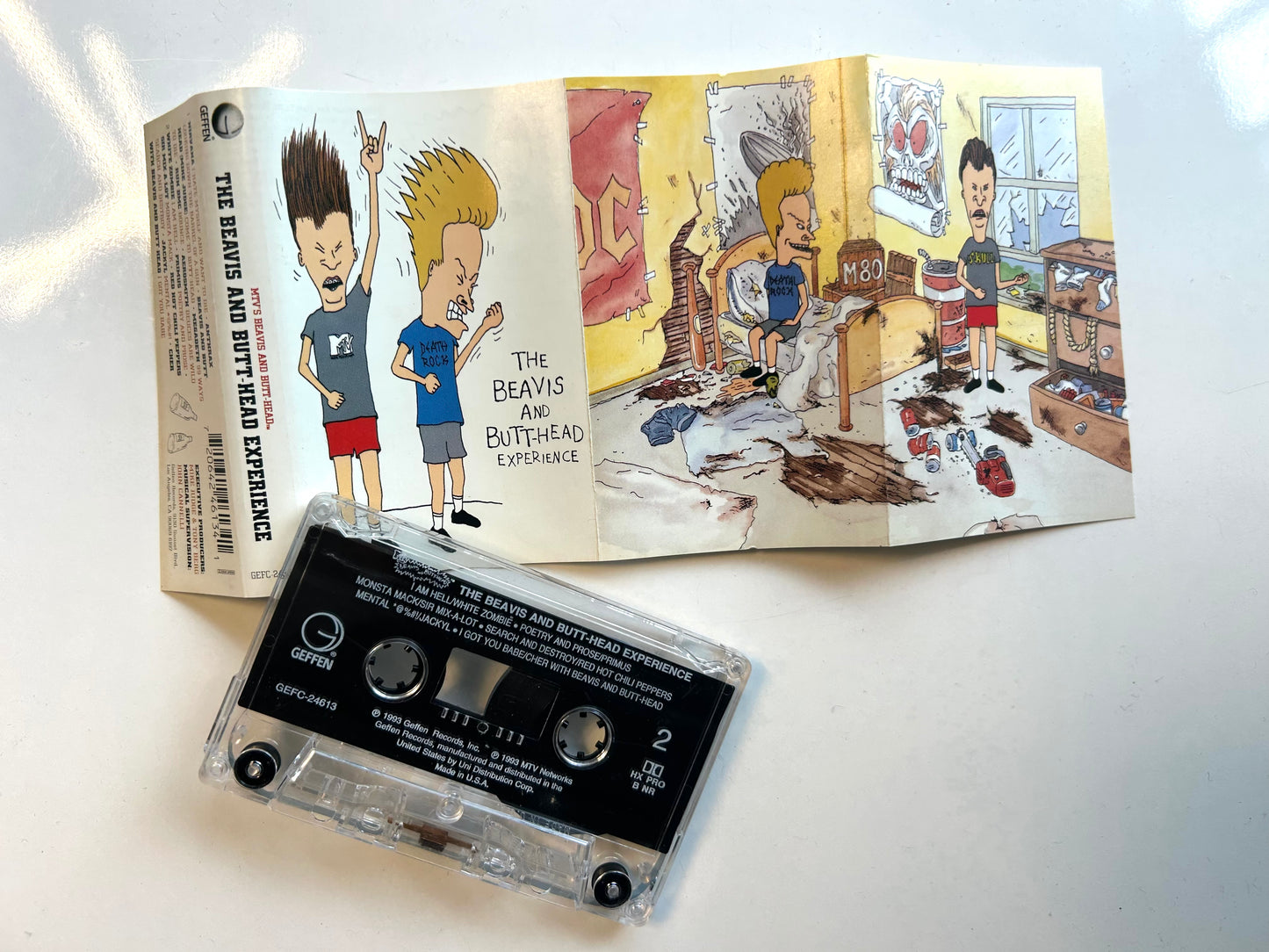 The Beavis and Butthead Experience