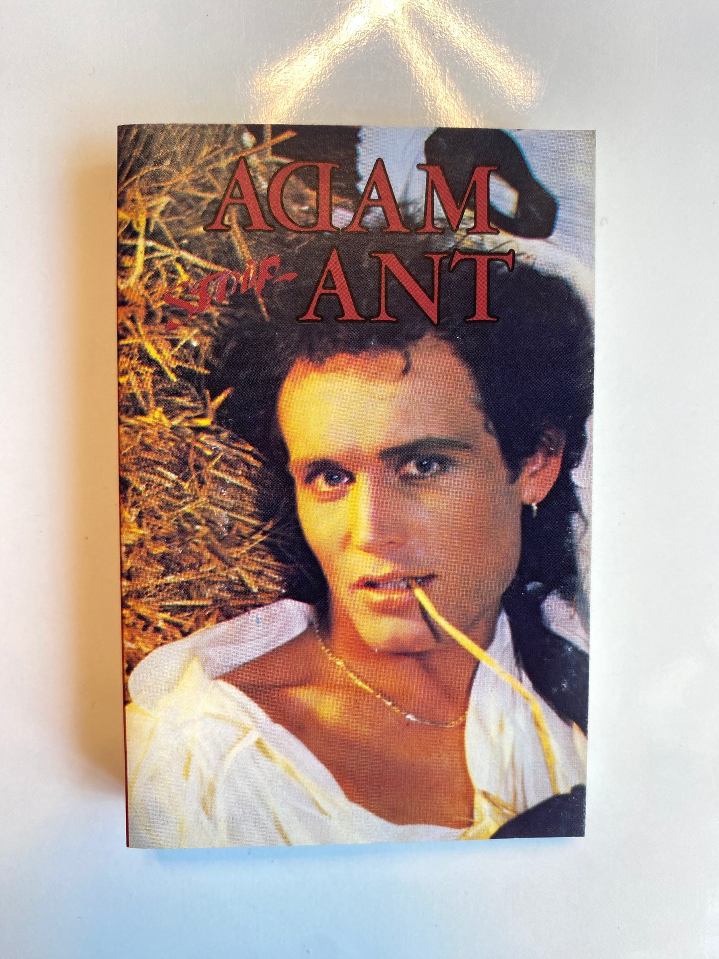 Adam Ant, Strip