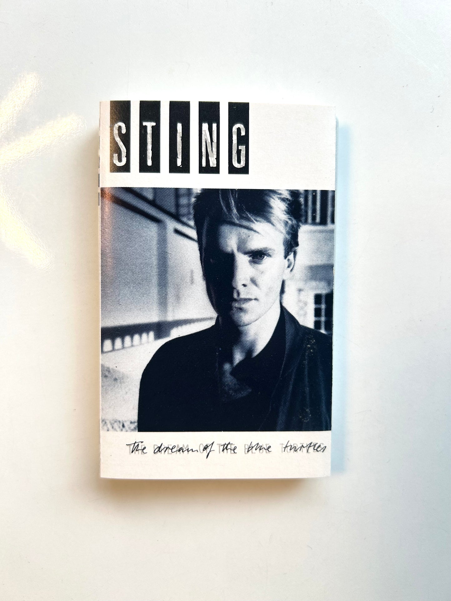 Sting, The Dream of the Blue Turtles