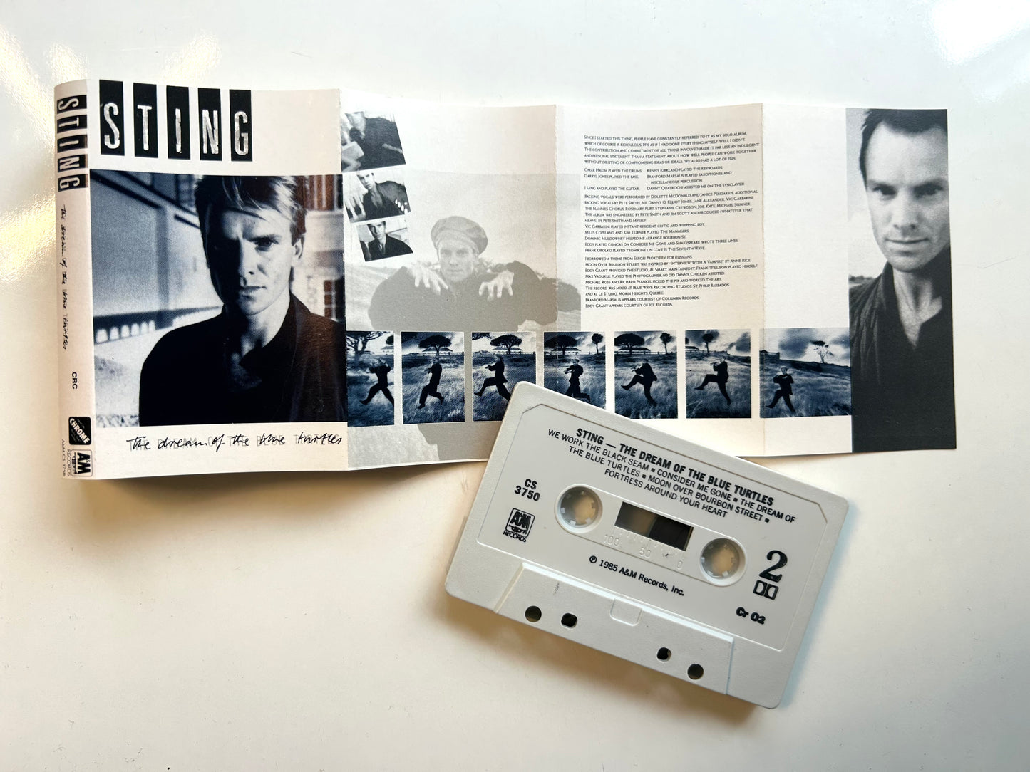 Sting, The Dream of the Blue Turtles