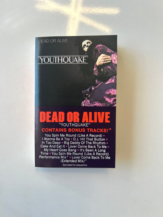 Dead or Alive, Youthquake