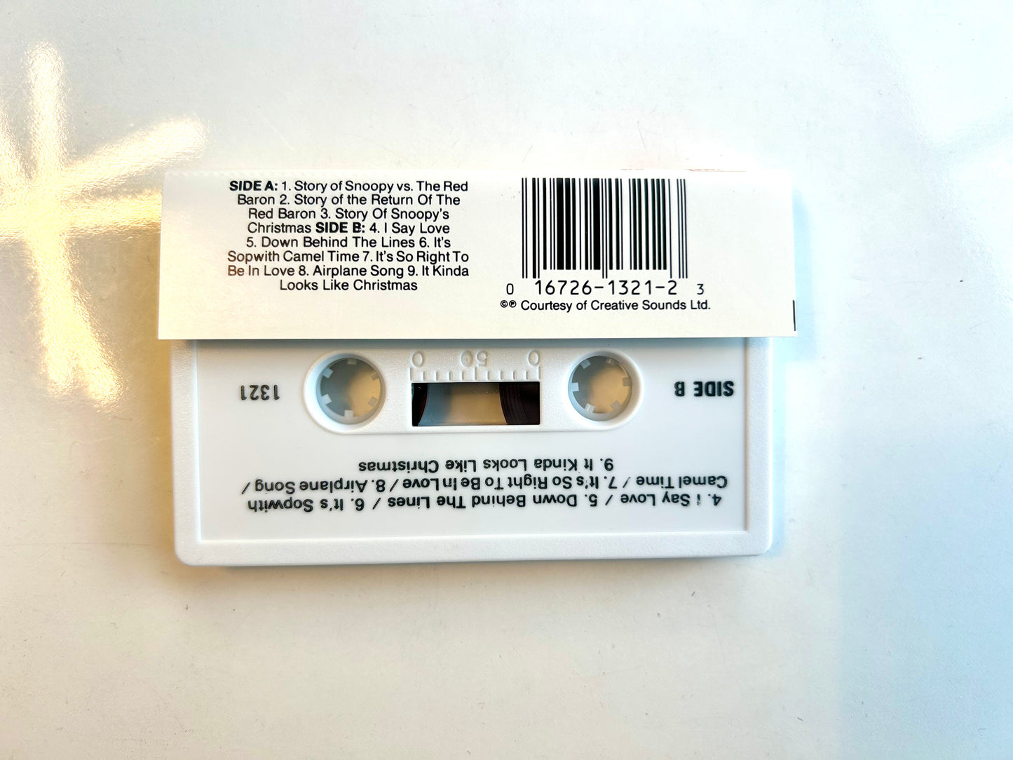 Merry Snoopy's Christmas