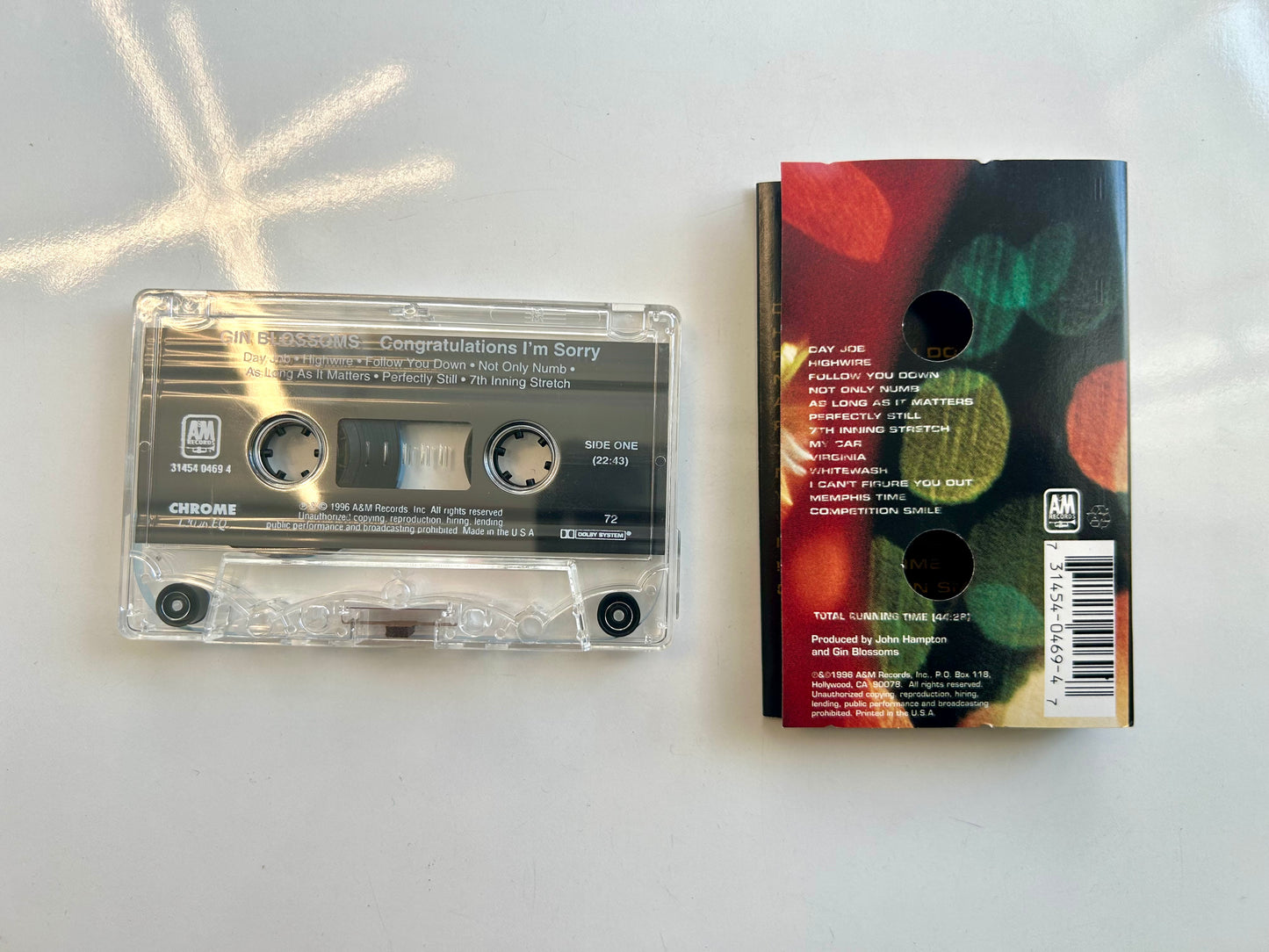 Gin Blossoms, Congratulations I'm Sorry
