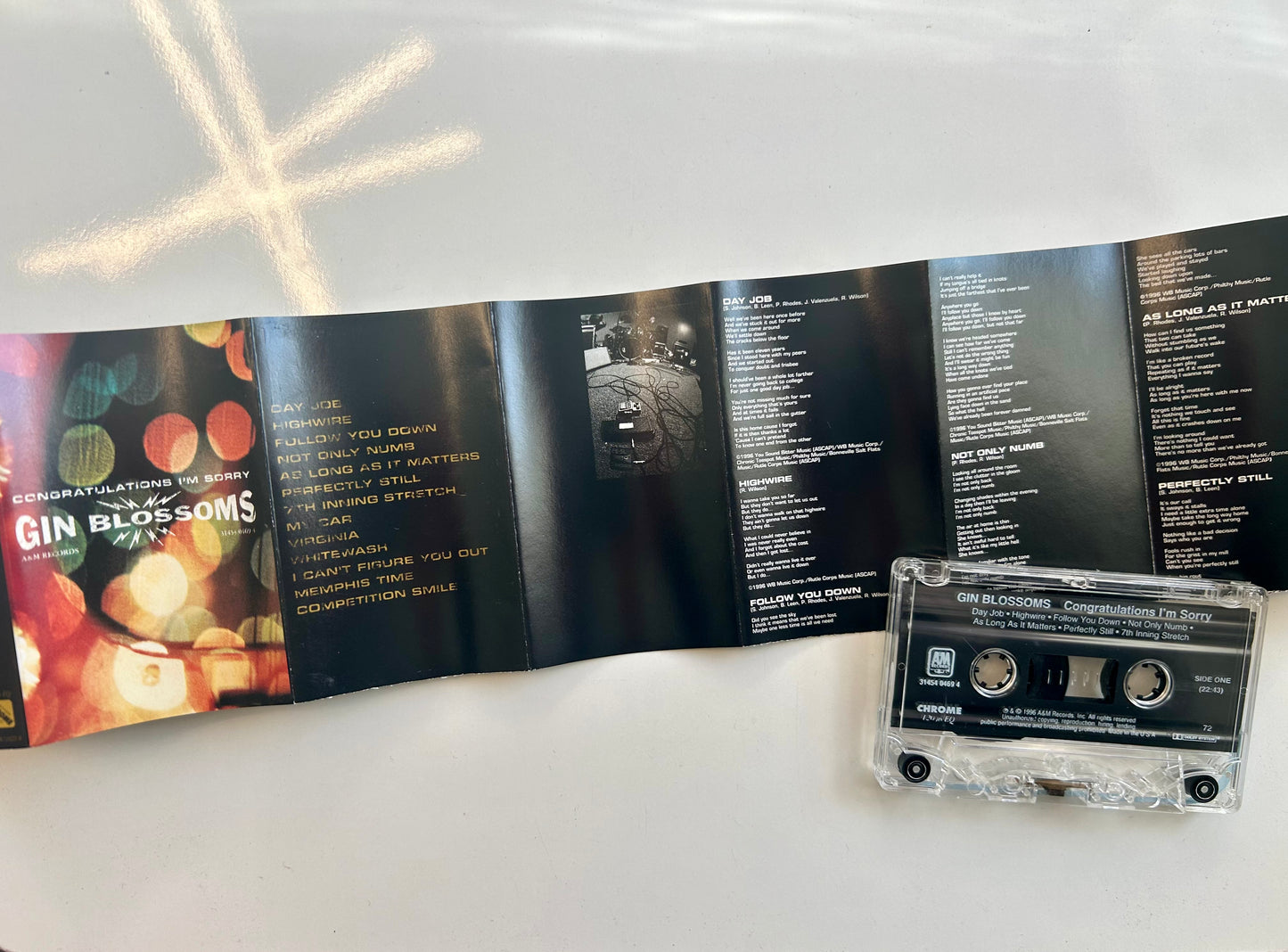 Gin Blossoms, Congratulations I'm Sorry