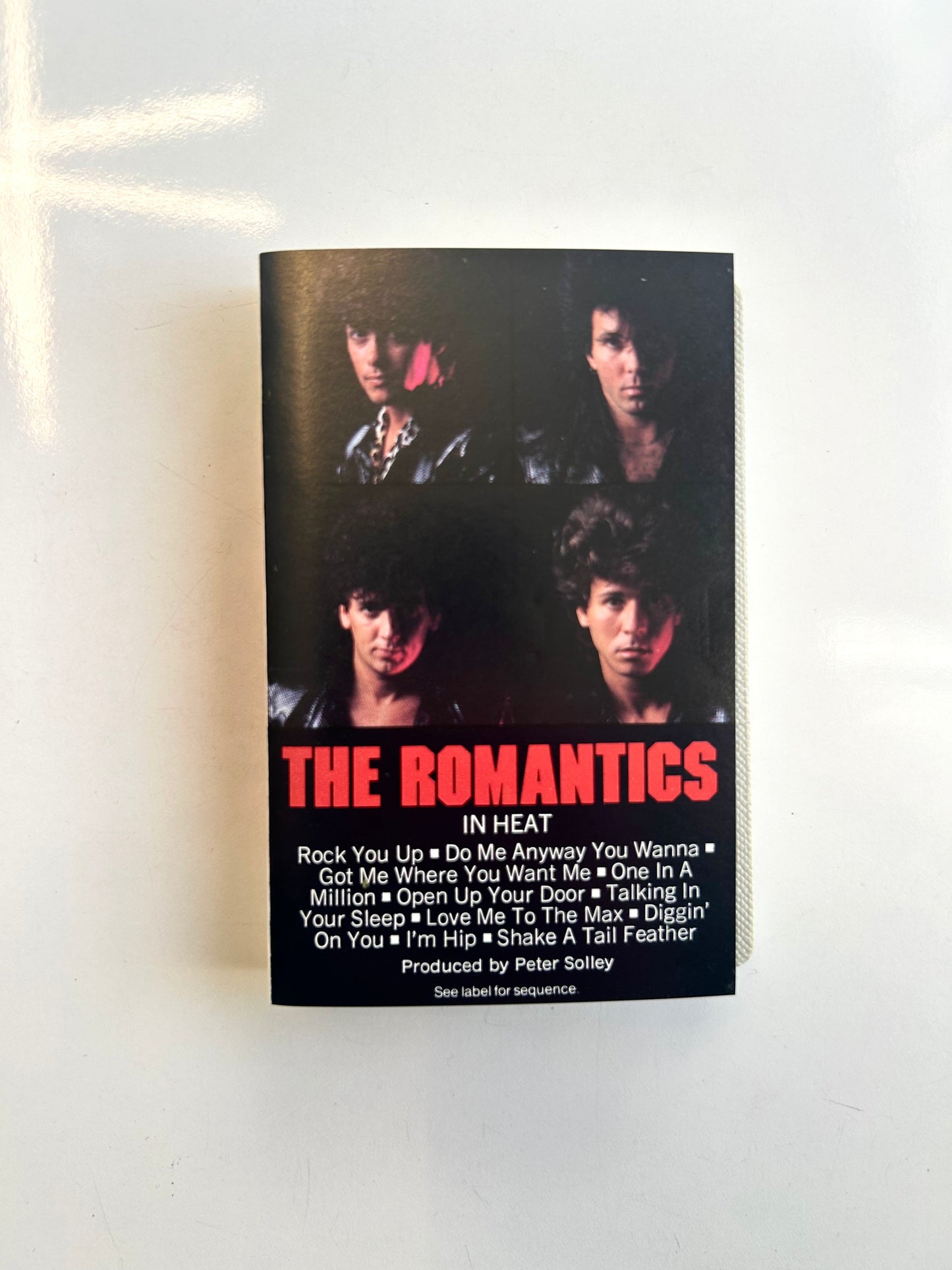 The Romantics, In Heat