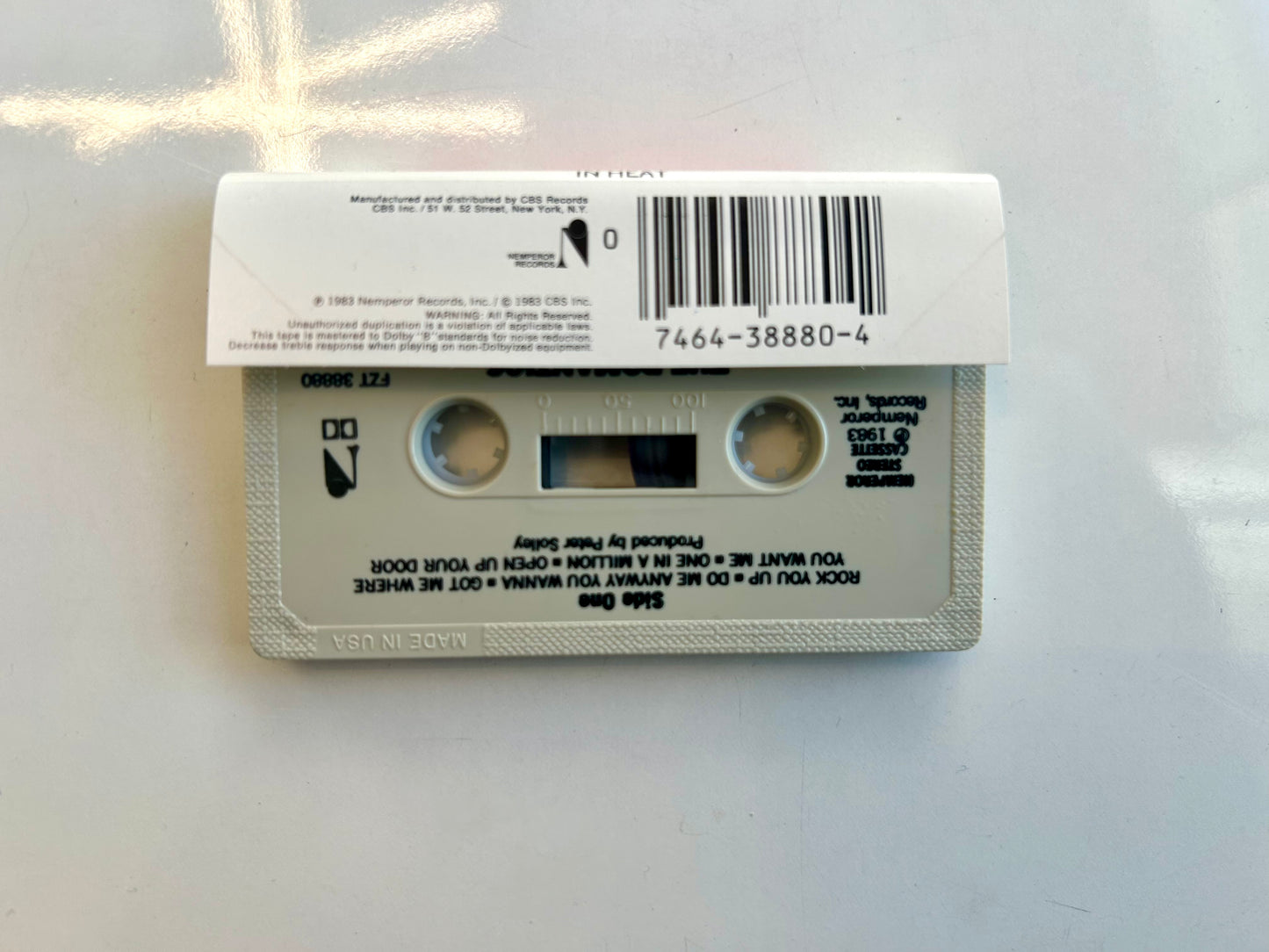 The Romantics, In Heat