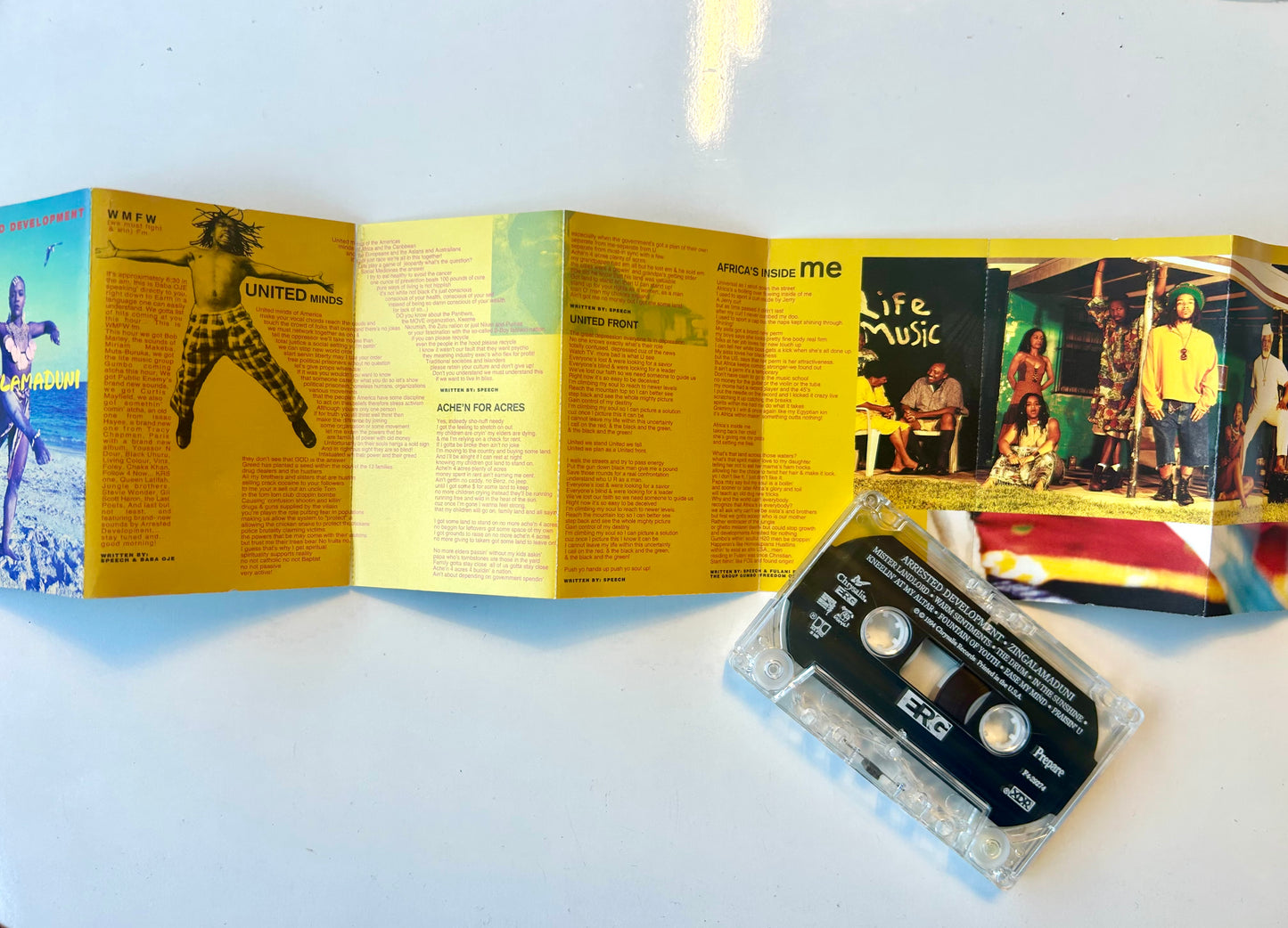 Arrested Development, Zingalamaduni