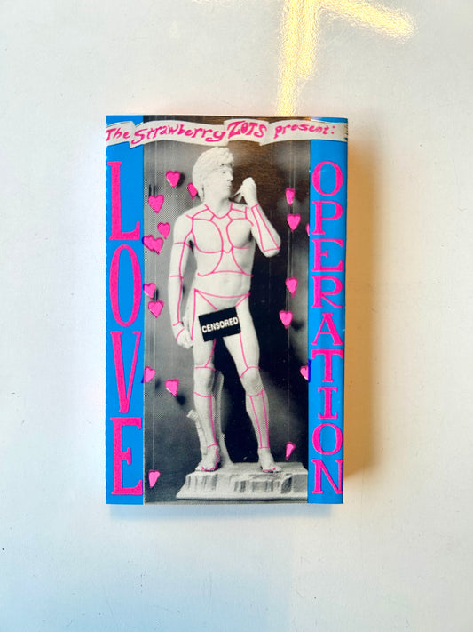 The Strawberry Zots, Love Operation