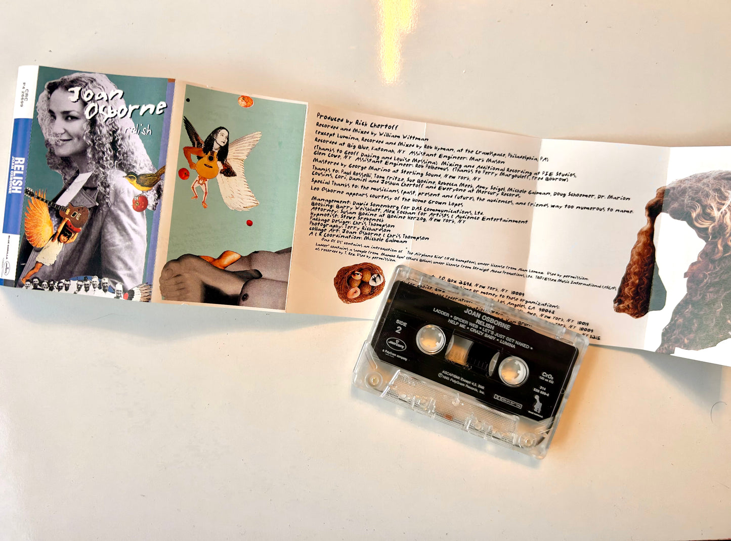 Joan Osborne, Relish