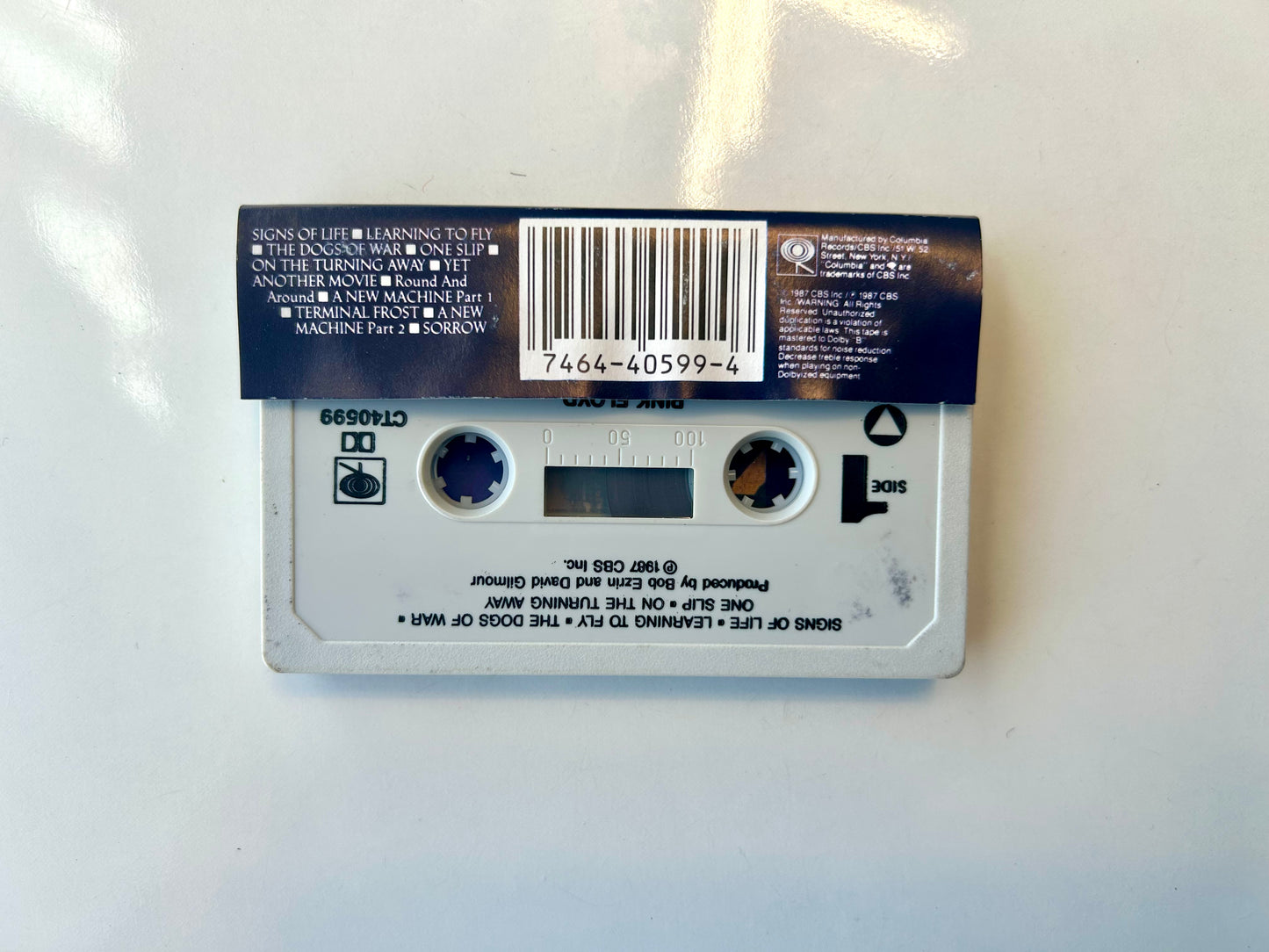 Pink Floyd, A Momentary Lapse of Reason