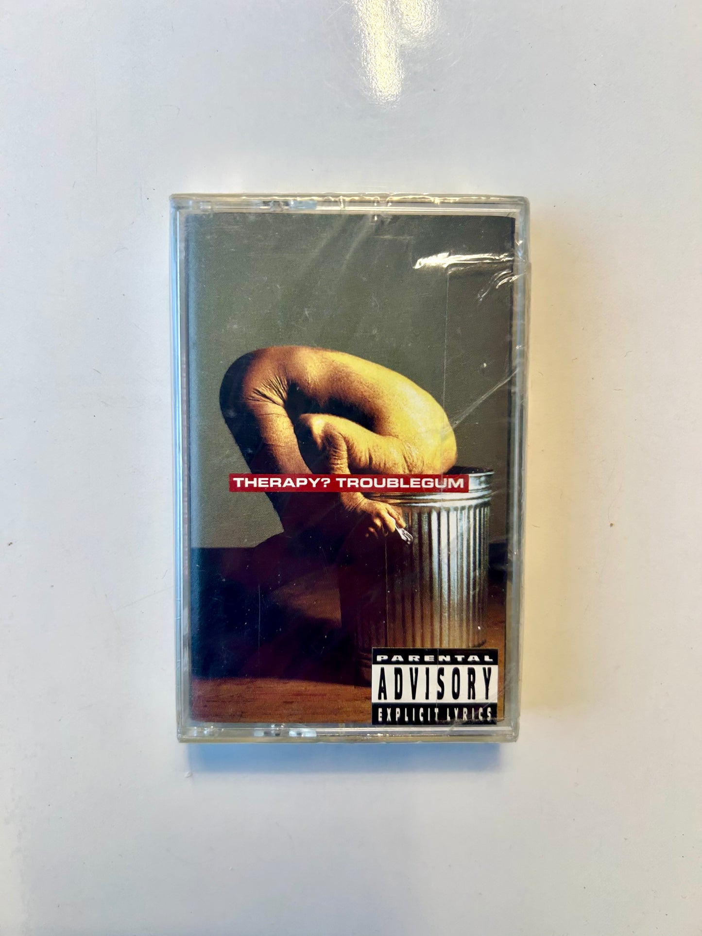 Therapy?, Troublegum