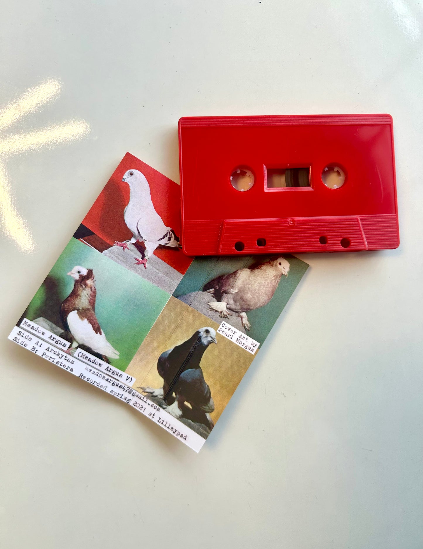 Meadow Argus, Peristera