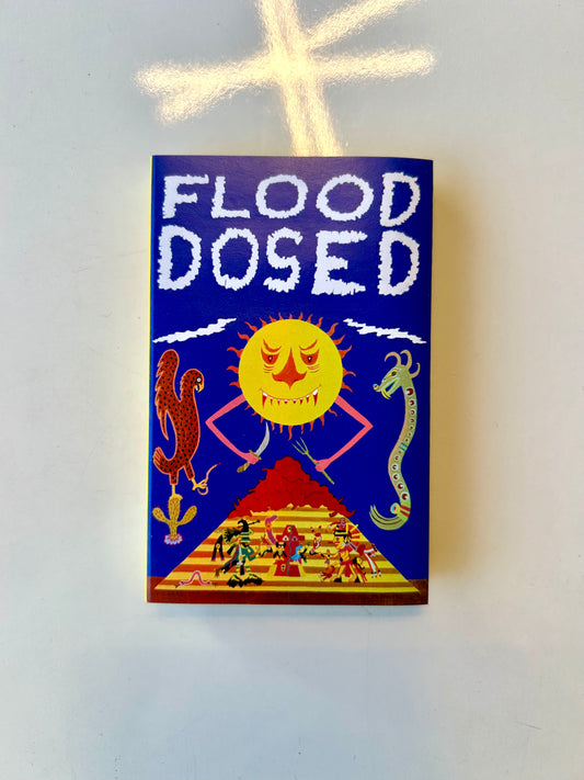 Guerilla Toss, Flood Dosed