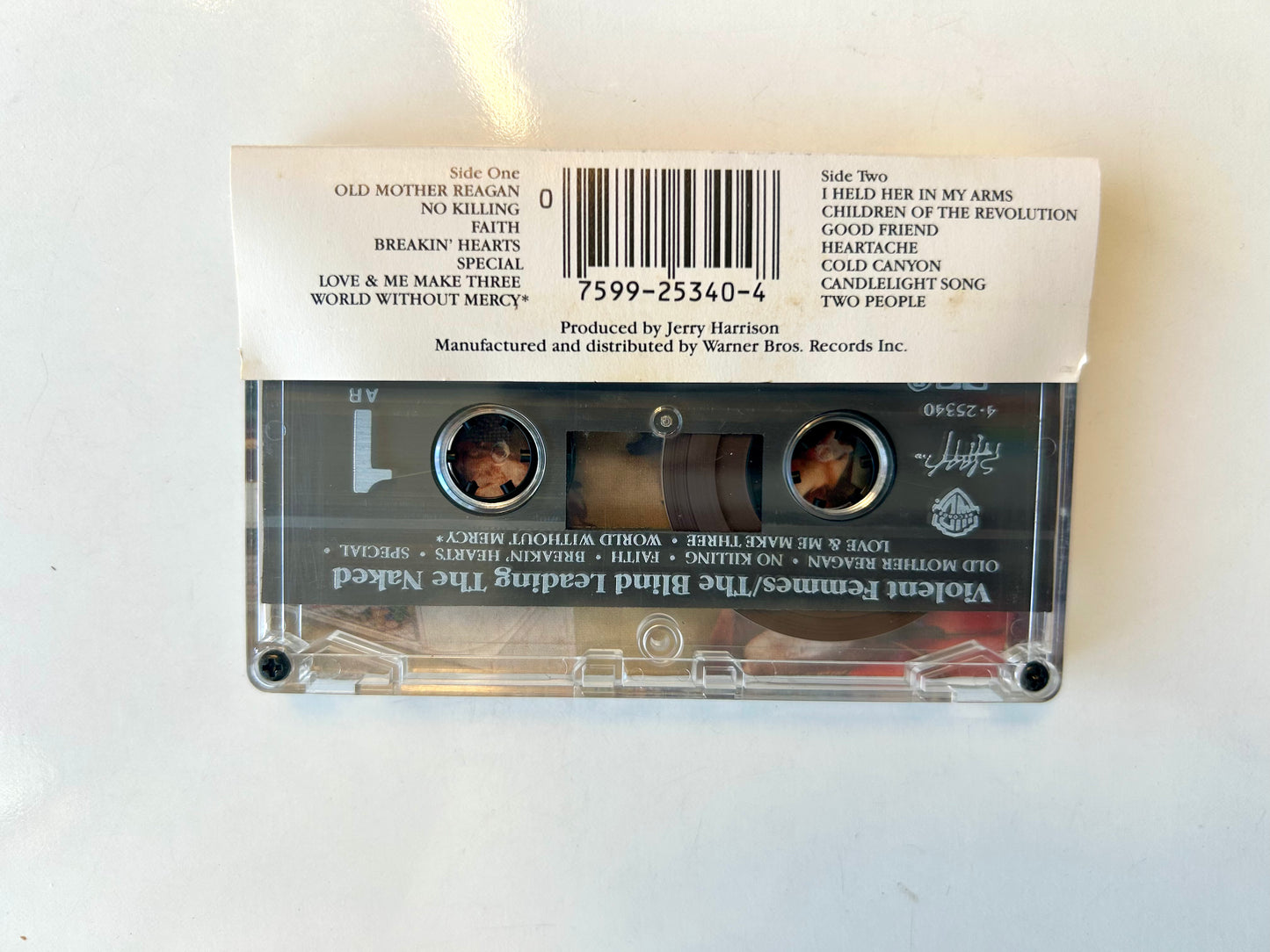 Violent Femmes, The Blind Leading the Naked