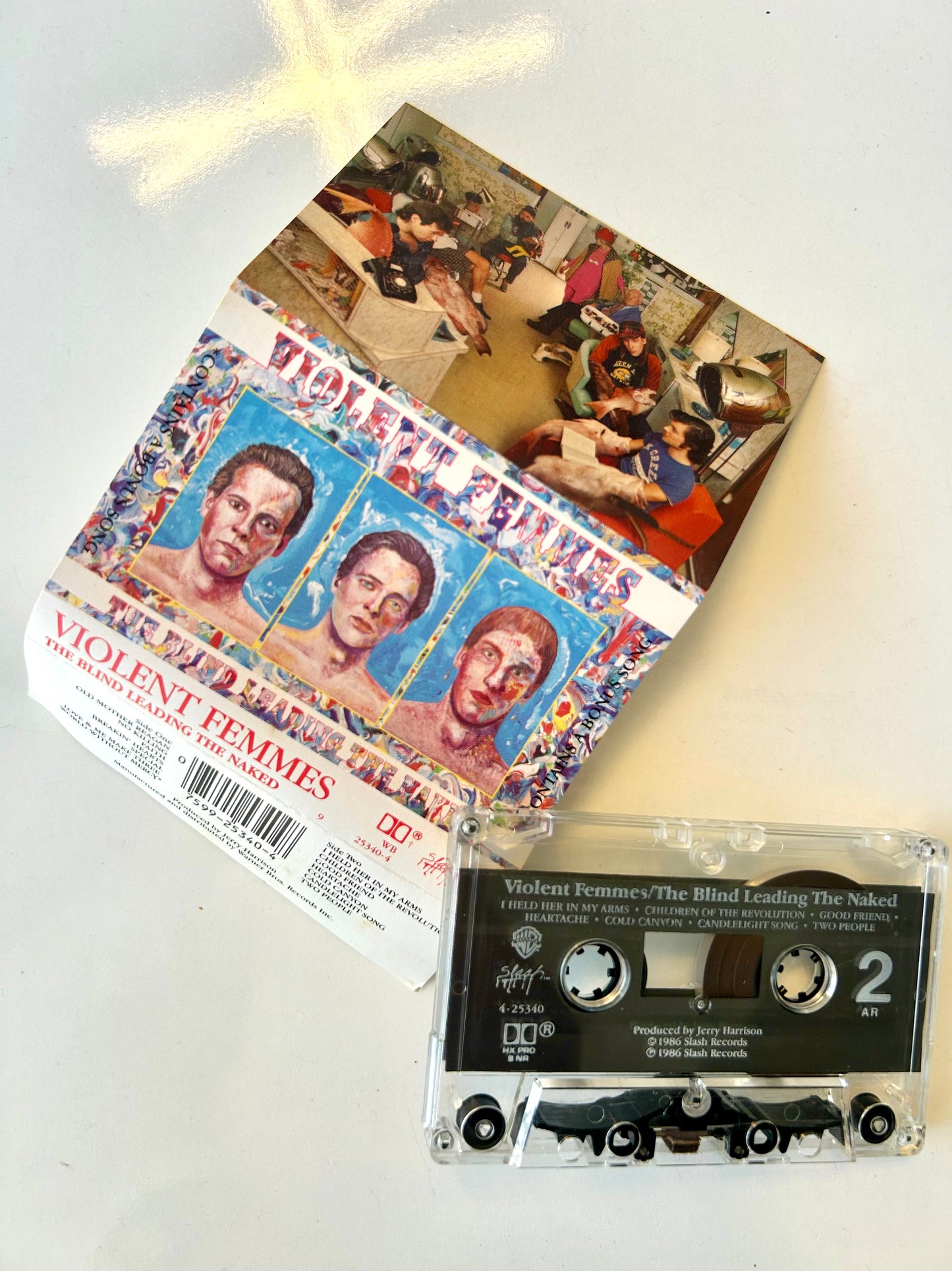 Violent Femmes, The Blind Leading the Naked