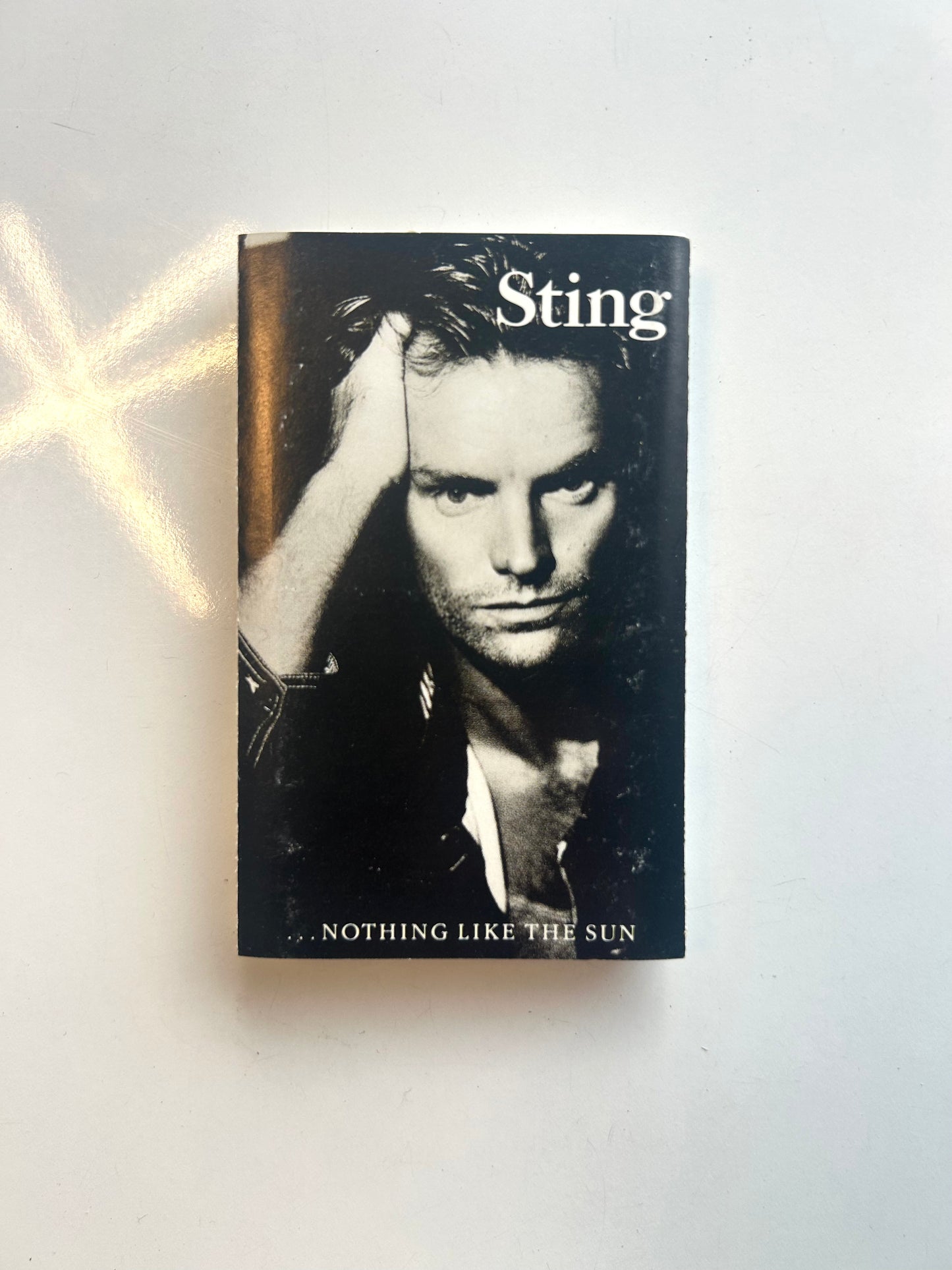 Sting, Nothing Like the Sun