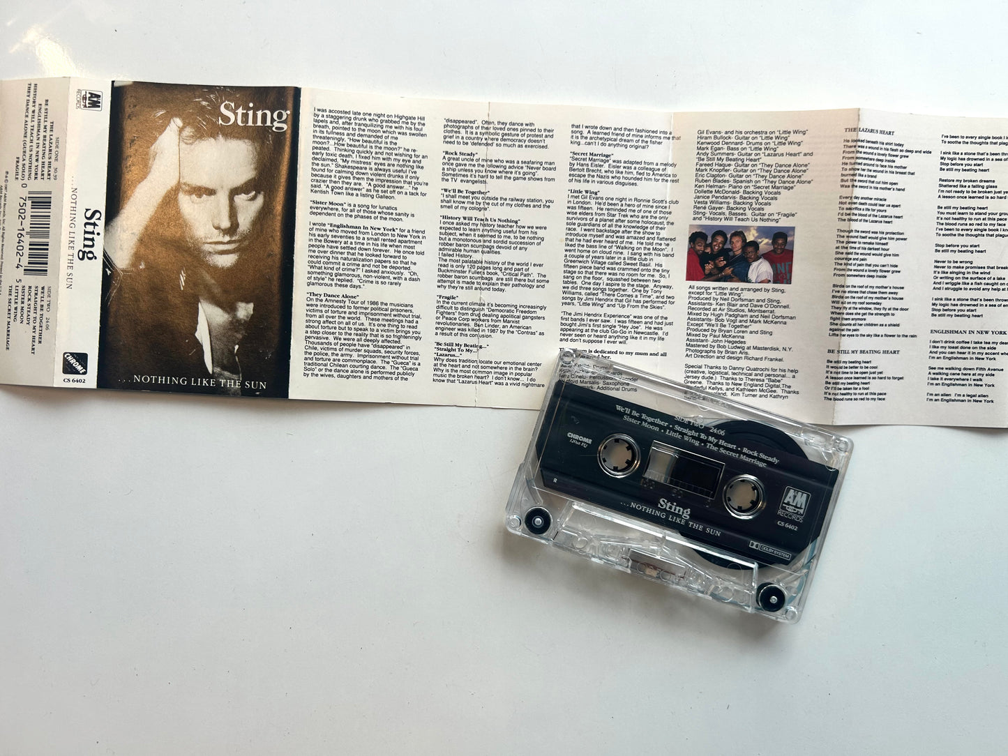 Sting, Nothing Like the Sun