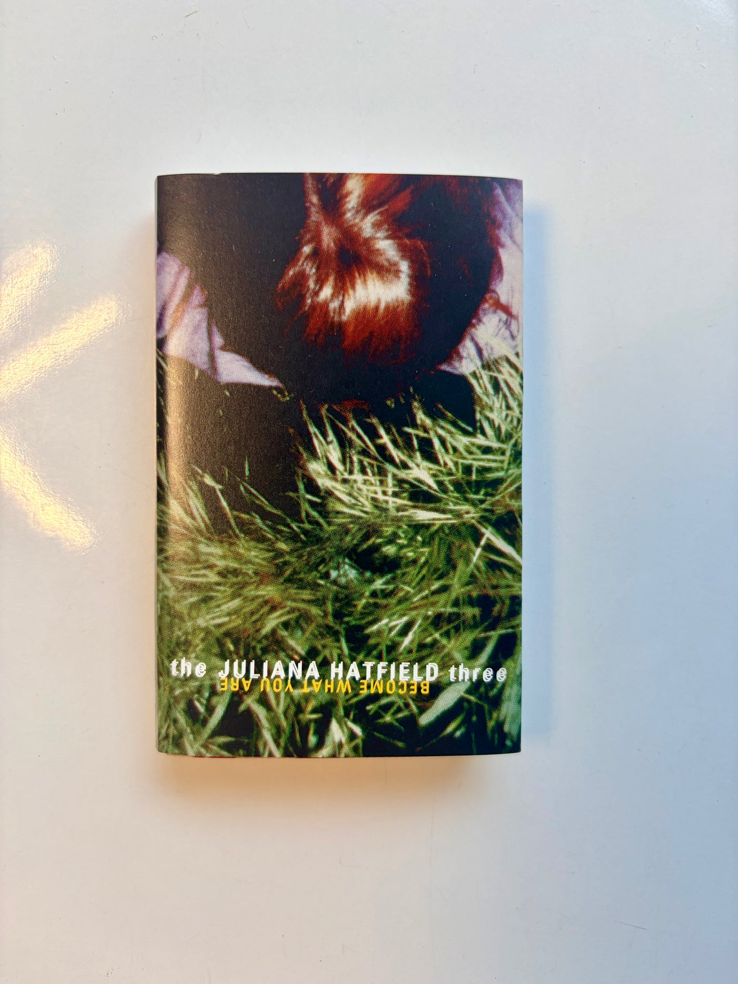 The Julianna Hatfield Three, Become What You Are